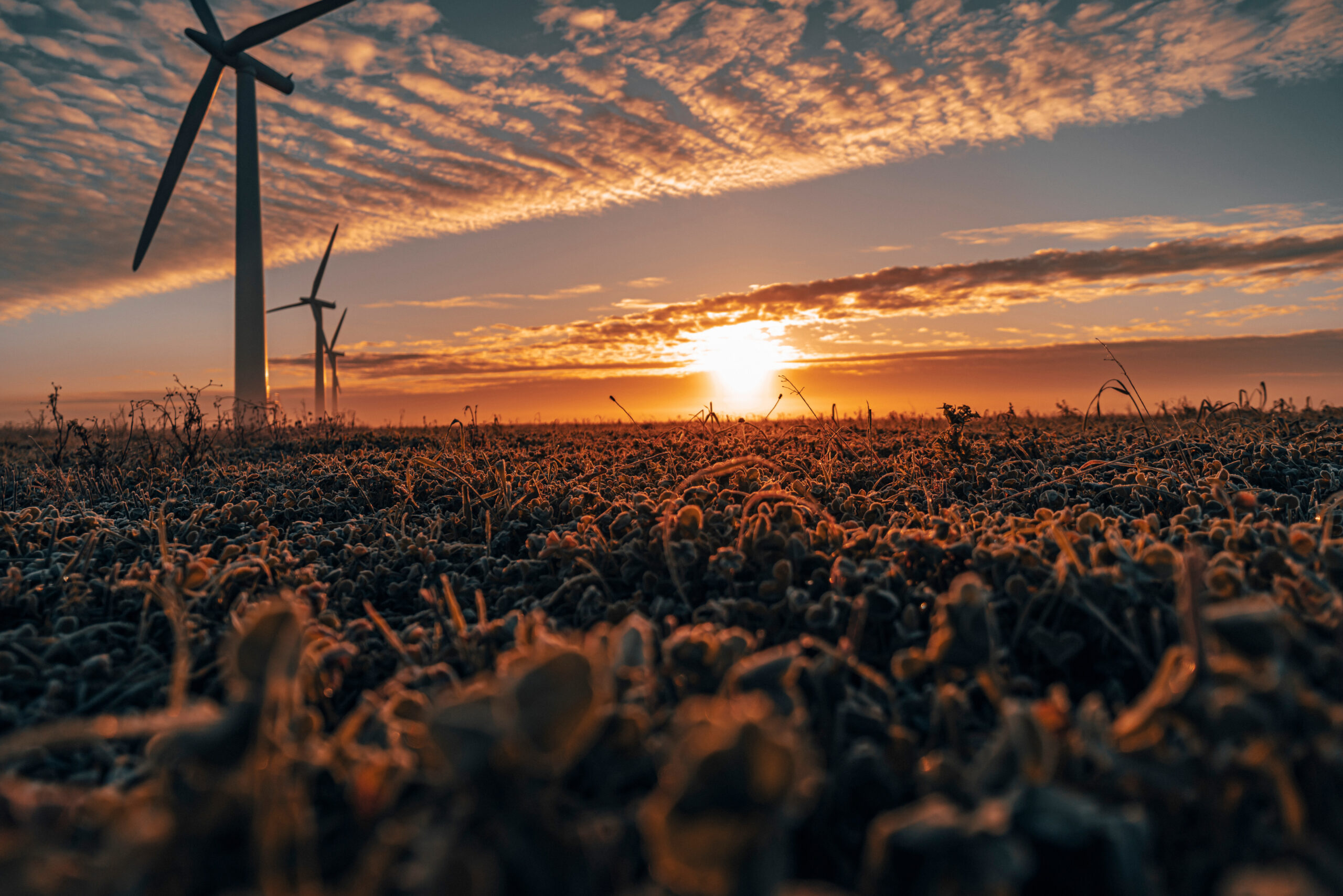 The Billion-Dollar Climate Hustle: Biden’s Green New Scam