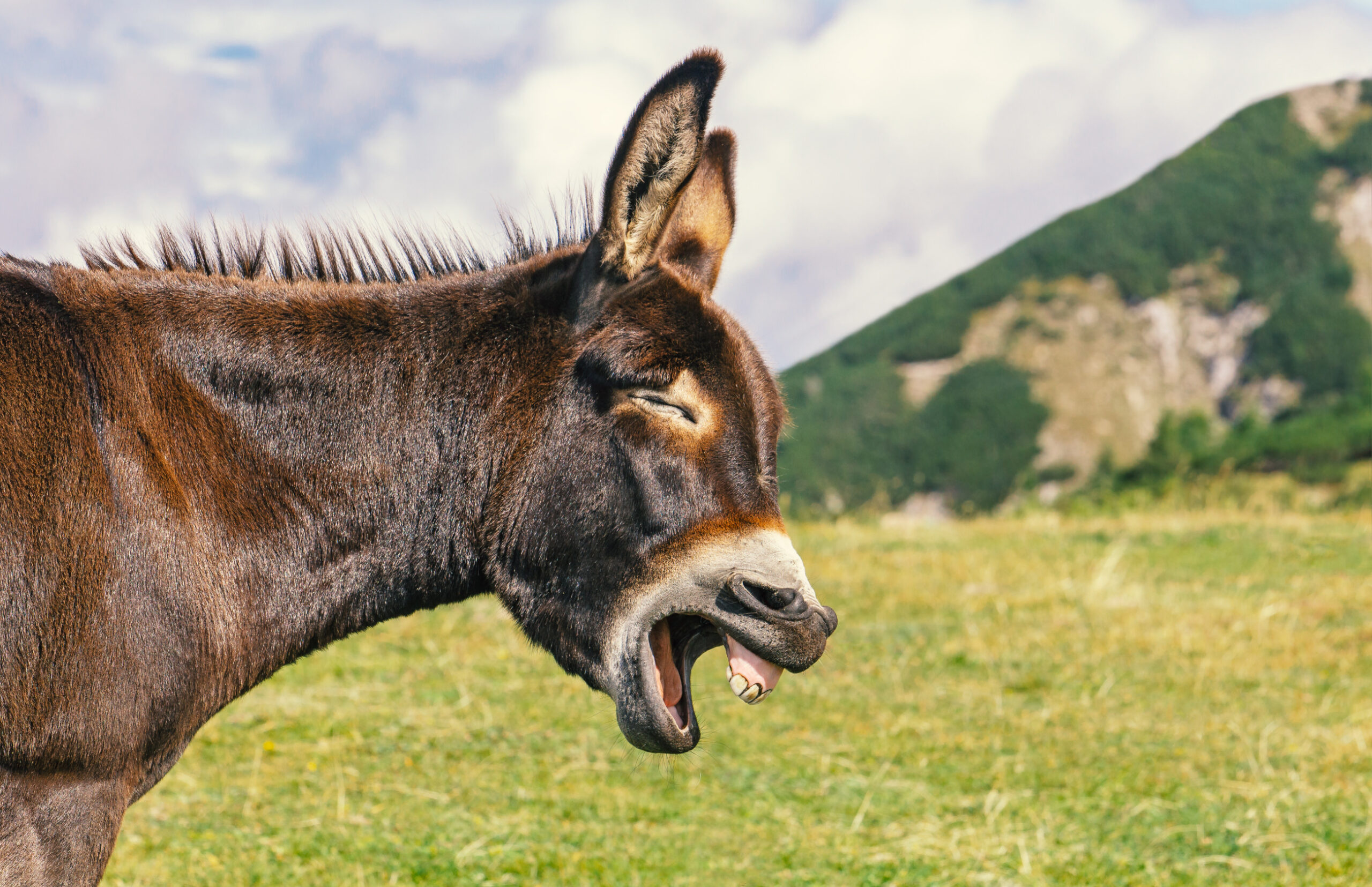 The Left’s Key Challenges: Immigration, Identity Politics, and Climate Change