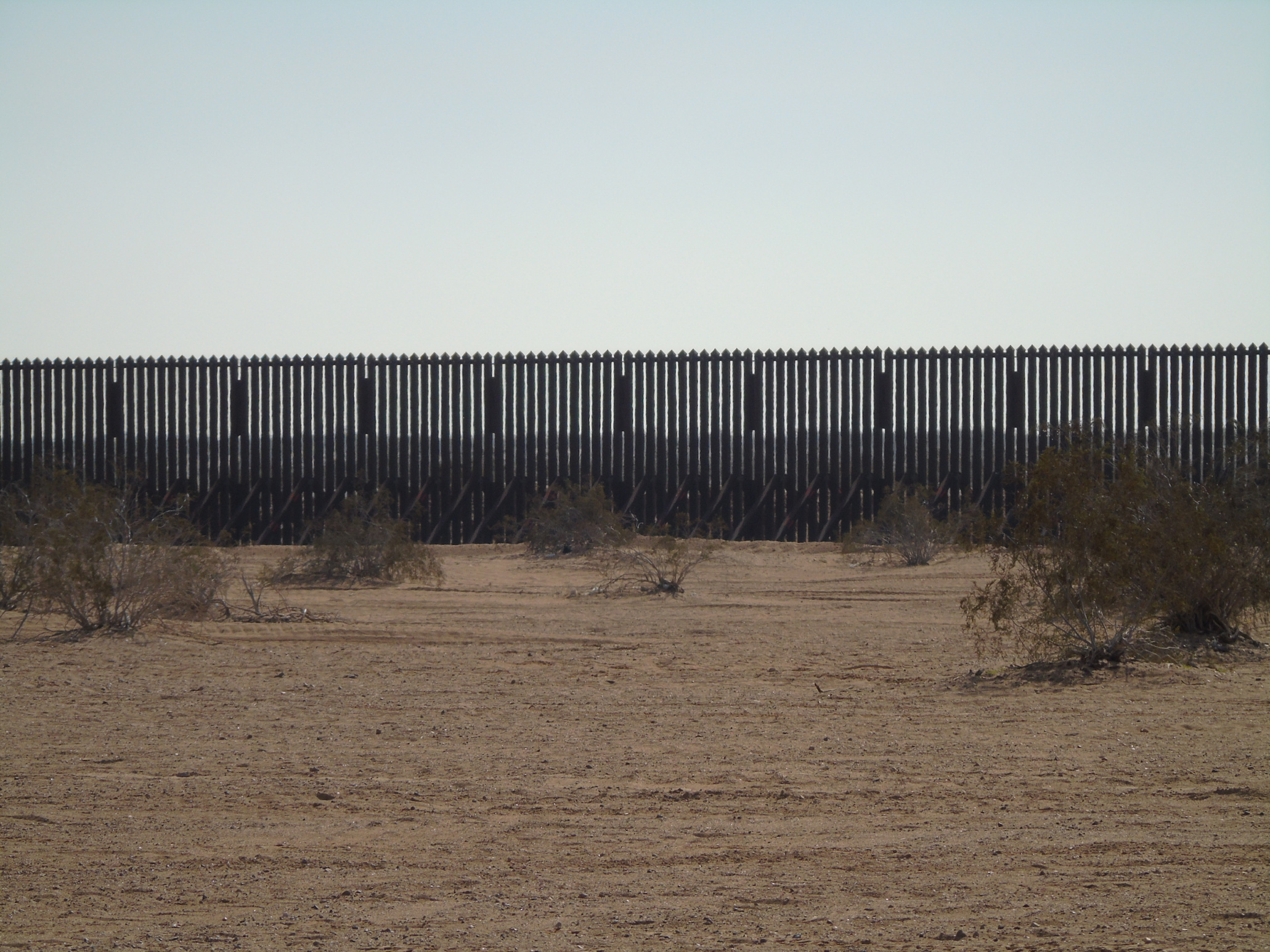 Poll: 76% of Maryland Voters Support Local Law Enforcement Working with ICE on Criminal Migrants