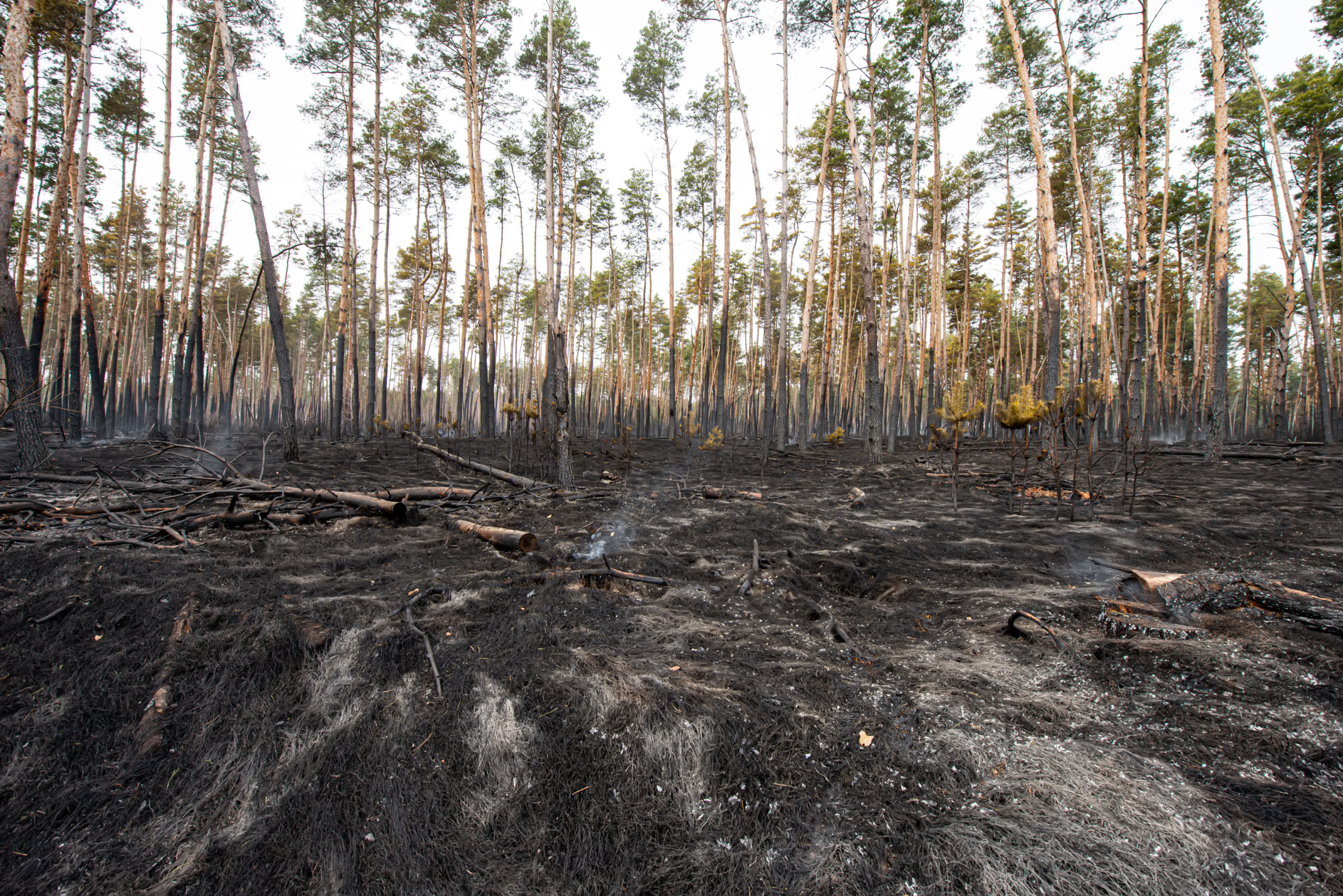 Patricia Heaton: ‘We Can’t Just Rely on the Government’ Amid LA Fire Crisis