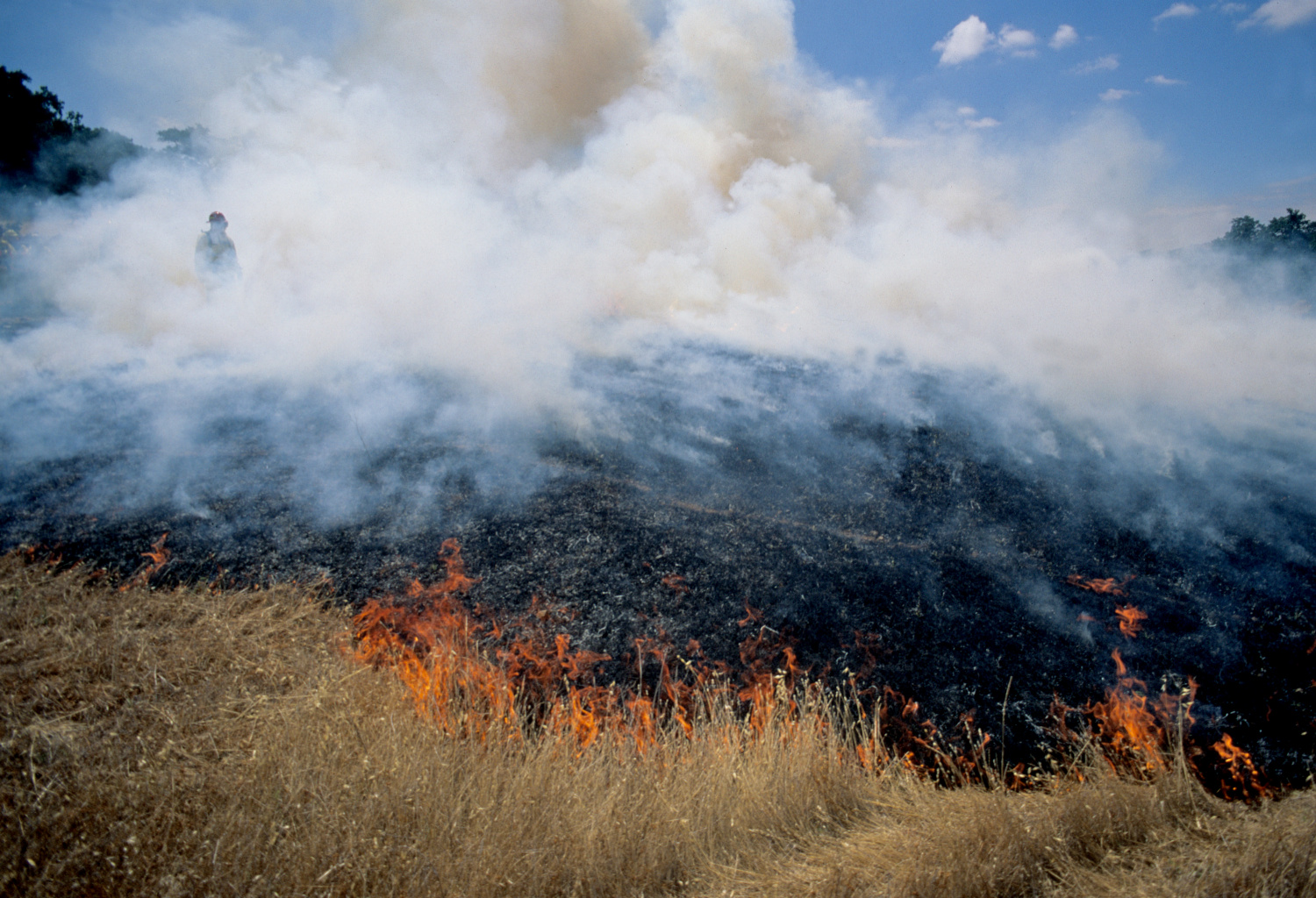 California Wildfires: Mismanagement, Not Climate Change, to Blame