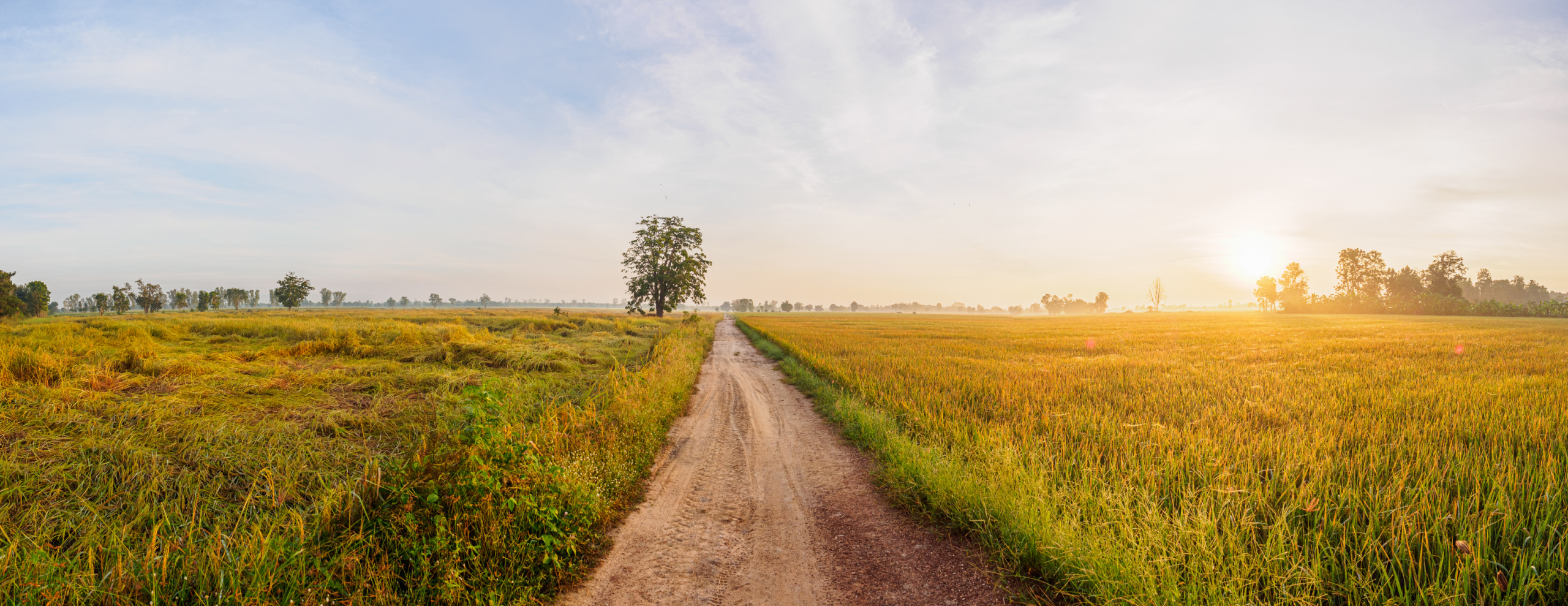 Florida Senate Passes Rural Renaissance Legislation to Support Rural Communities