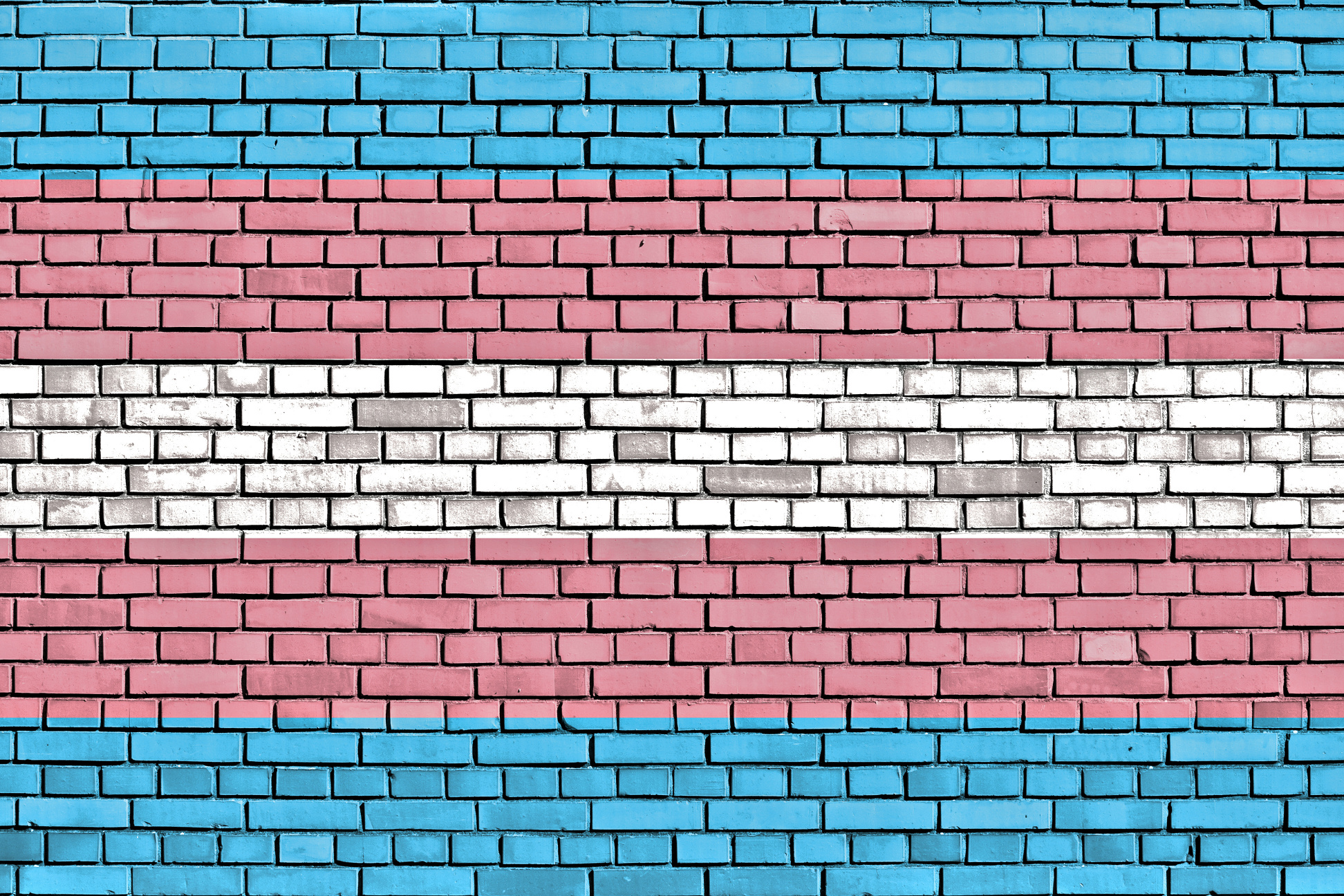 Common Sense: Fighting Back Is Not Picking a Fight Image