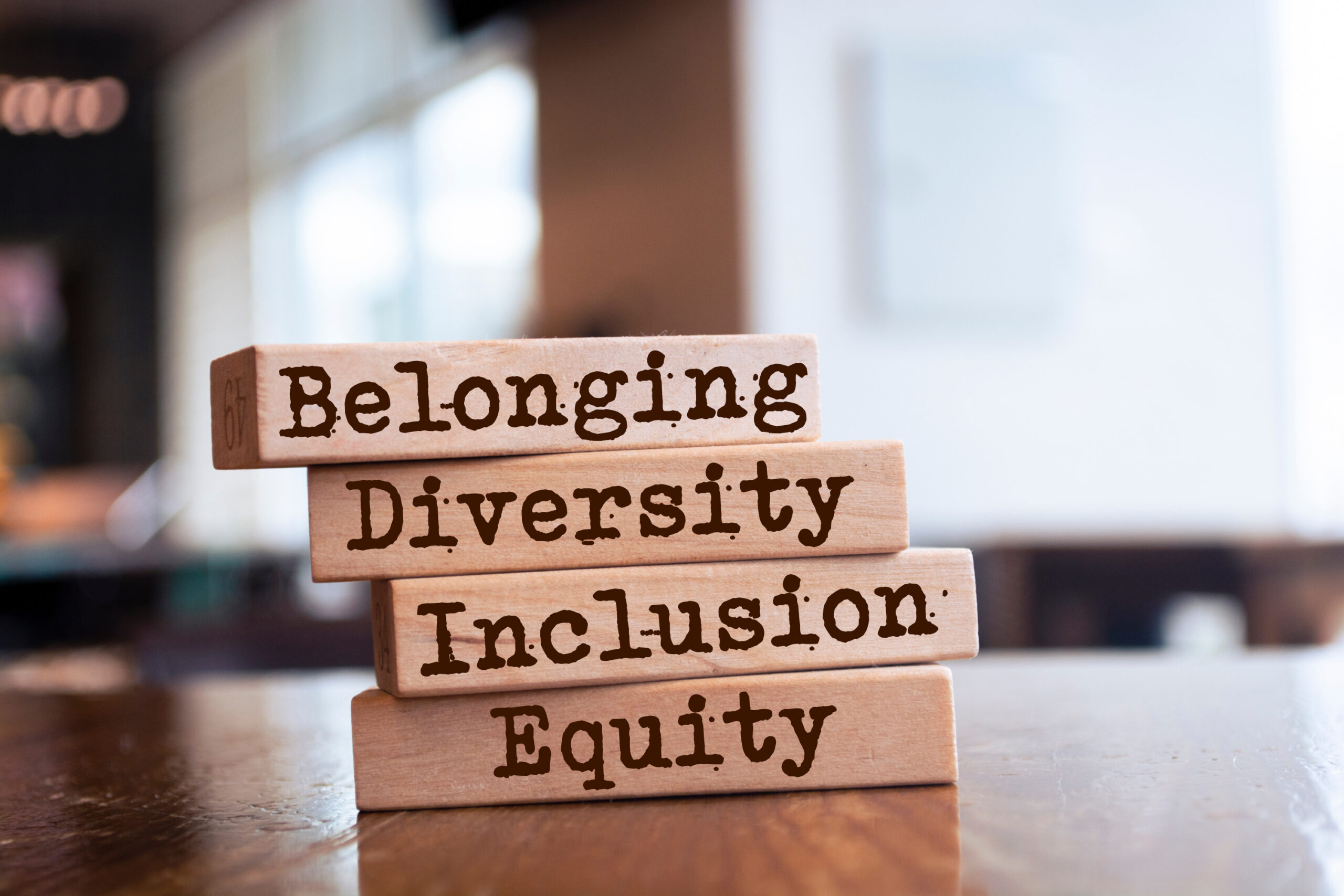 Common Sense: Equality and DEI Are Not the Same Thing Image