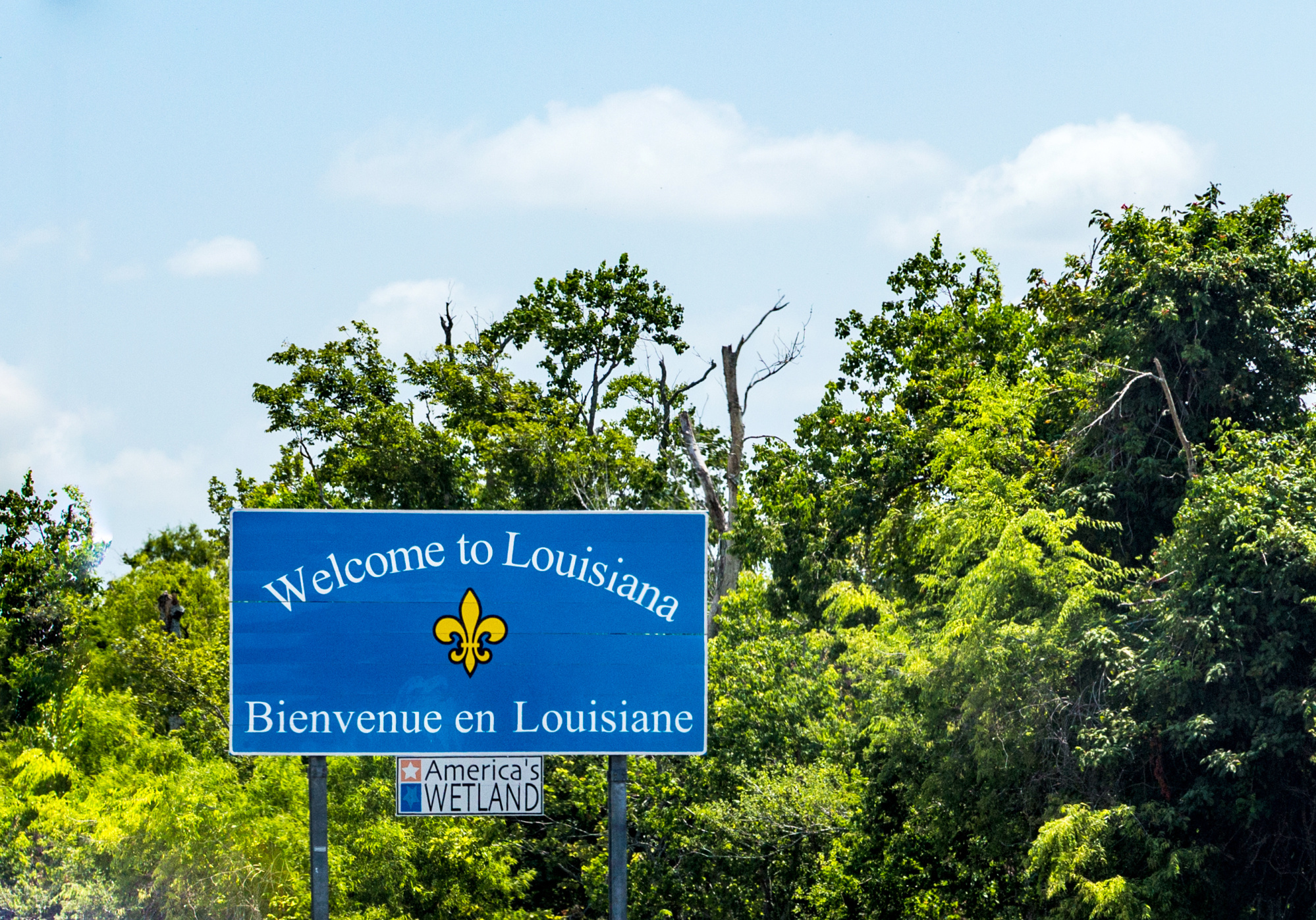Faith, Family, and Freedom: Louisiana’s Enduring Gift to America Image