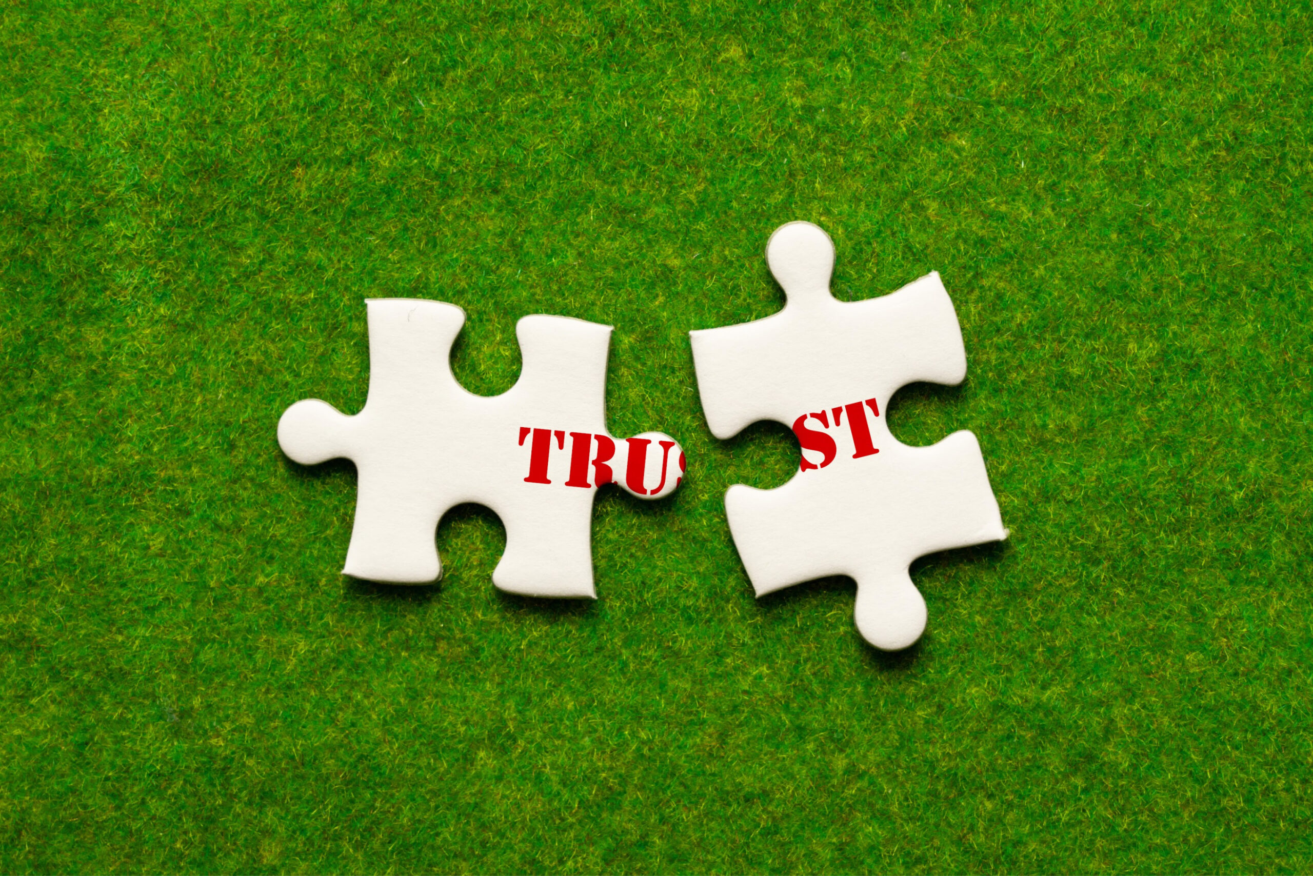 The Death of Trust? What New Pew Data Says About America’s Social Divide Image