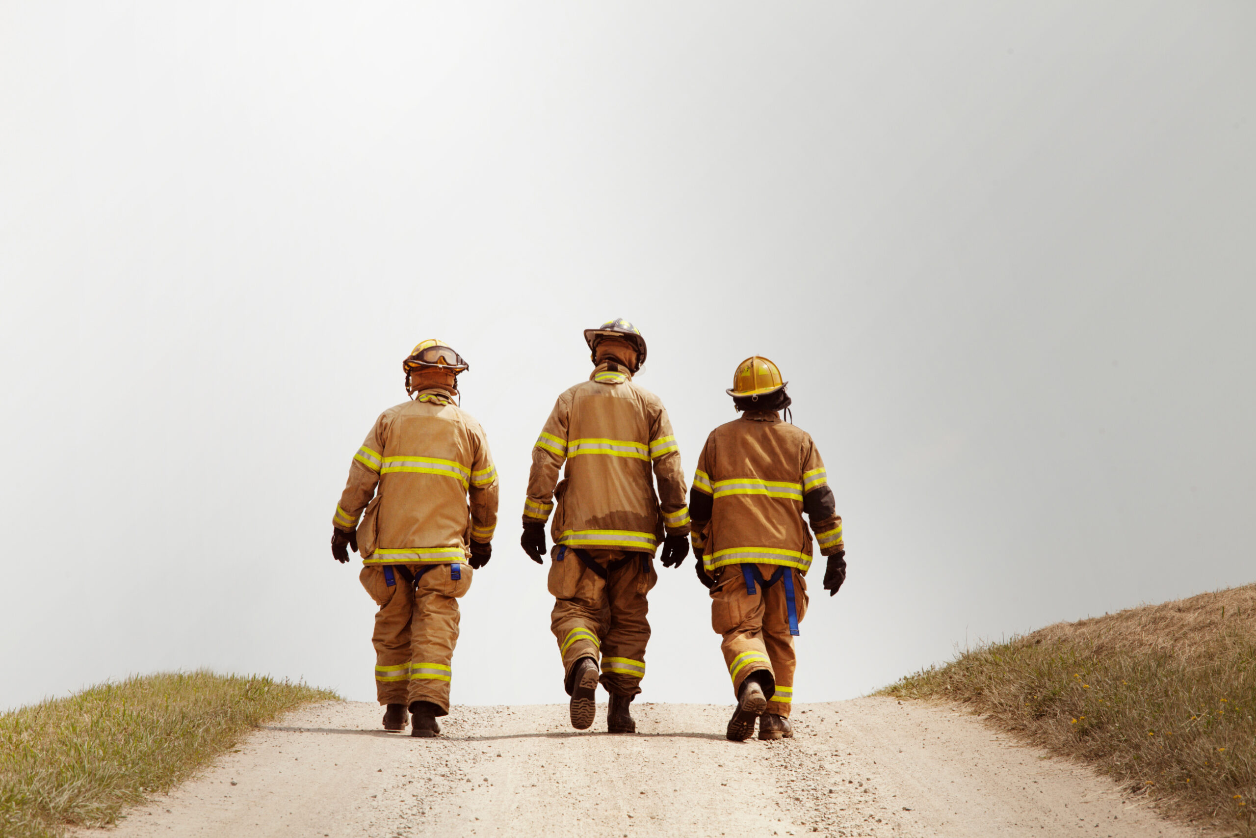 Illinois Honors Fallen Firefighters and Heroes at 2025 Statewide Memorial and Medal of Honor Ceremony Image