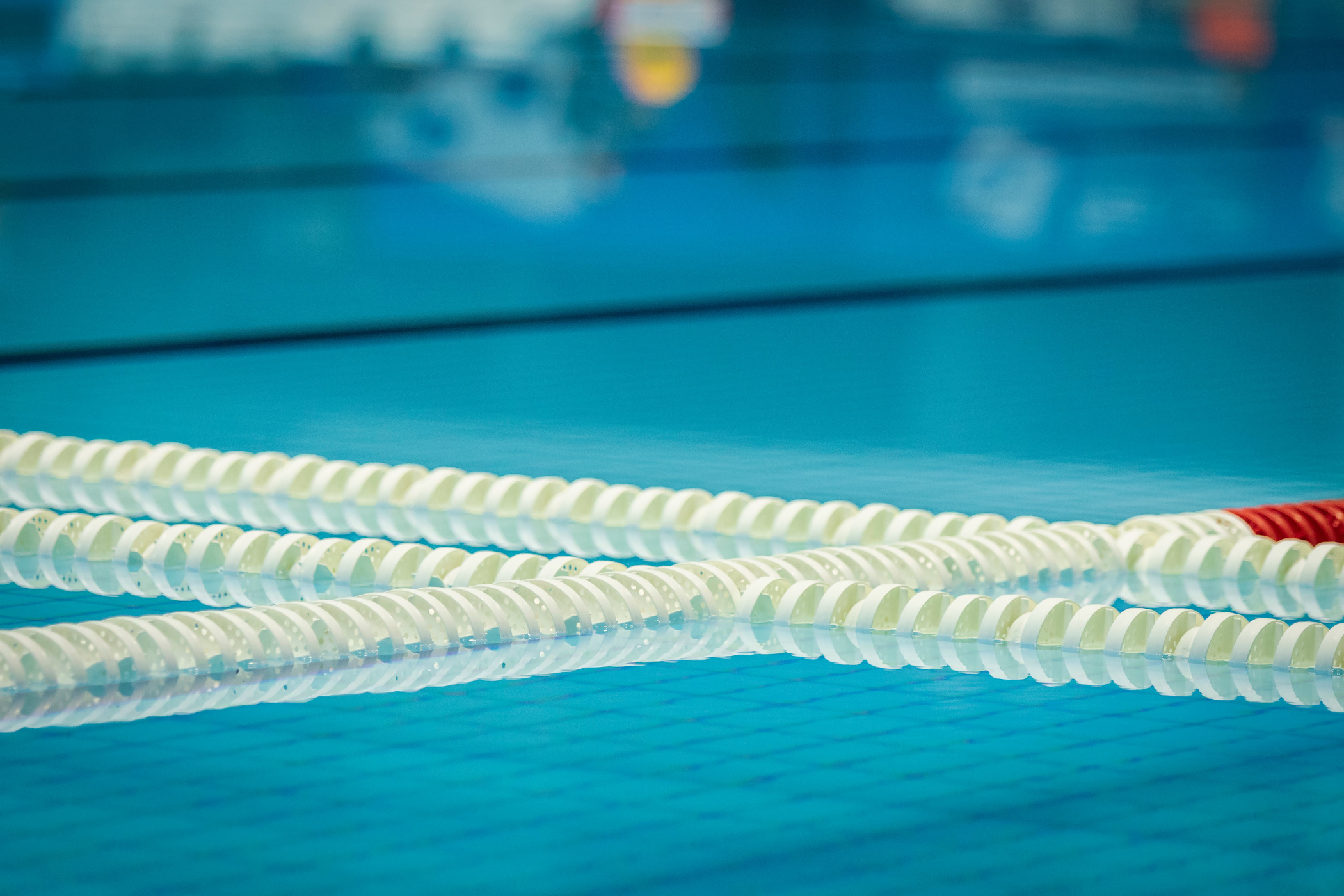 Stanford Dominates Again: A Championship Victory That Redefines Excellence! Image