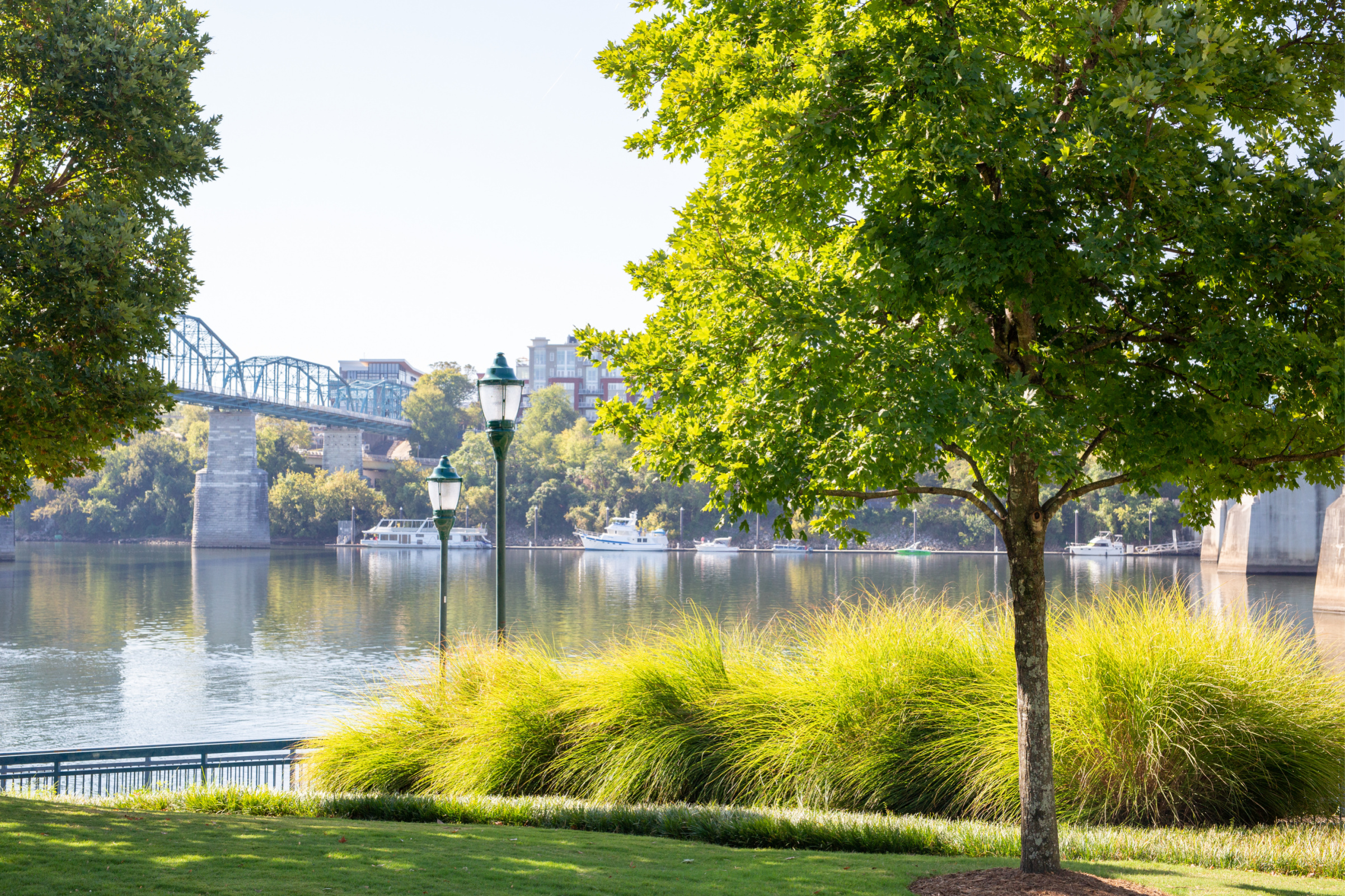 Rep. Ryan Williams Secures $1.25M to Upgrade Parks and Sports Facilities in Putnam County, TN Image