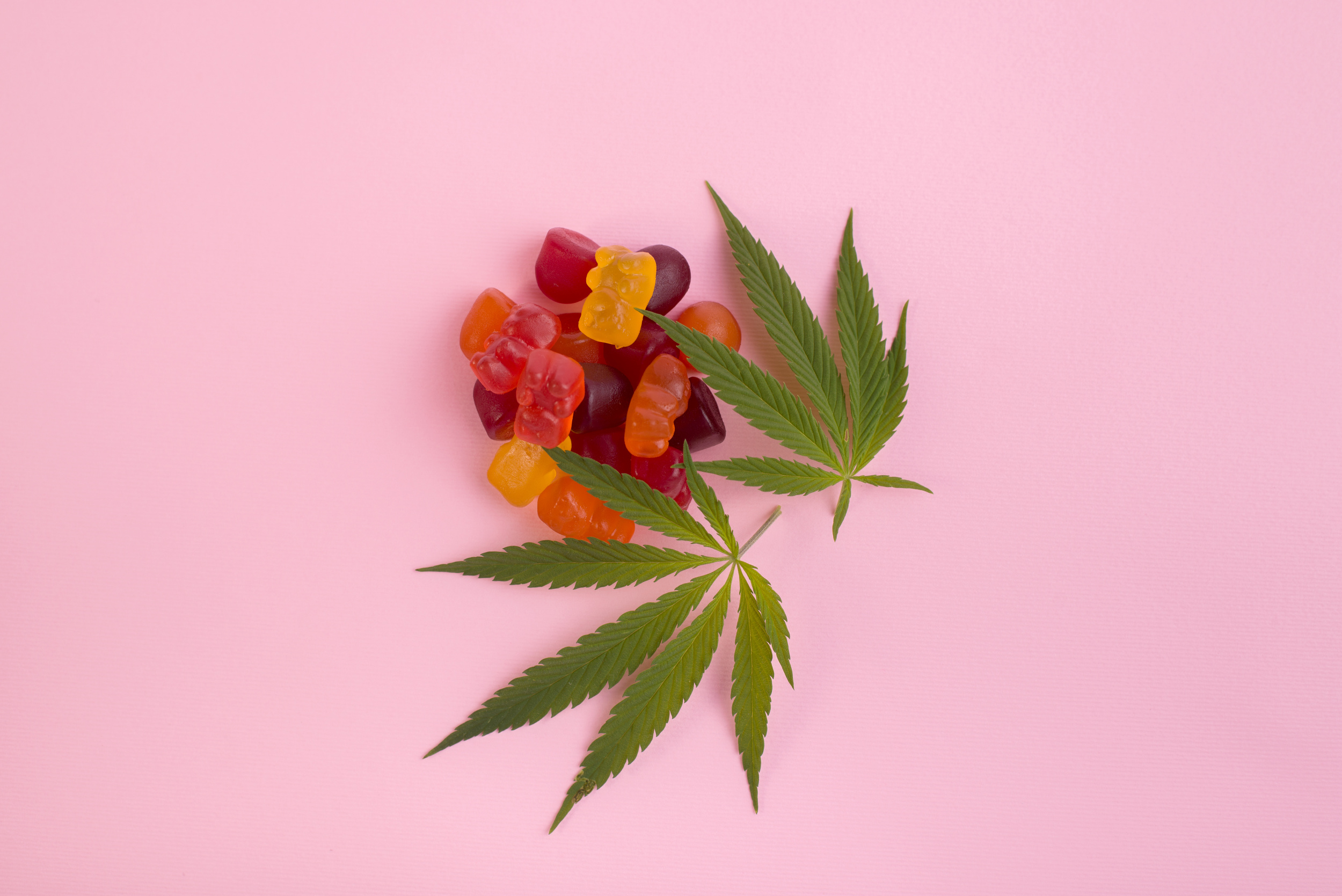 Arizona Bans Pot Ads Targeting Kids — New Law Cracks Down on Candy Lookalikes and Cartoons Image