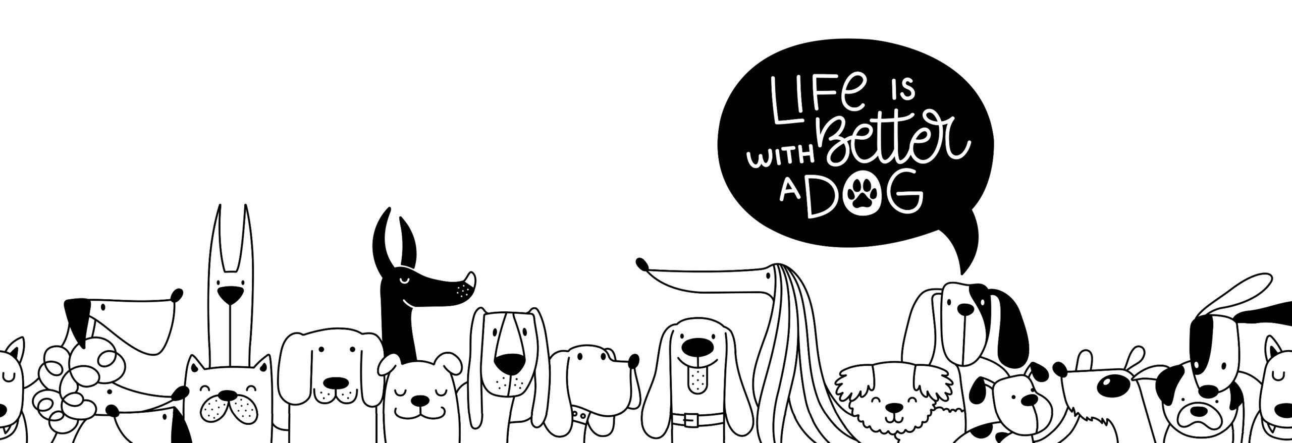 World’s Tallest and Smallest Dogs Meet for Epic Playdate – You Won’t Believe How They Got Along!