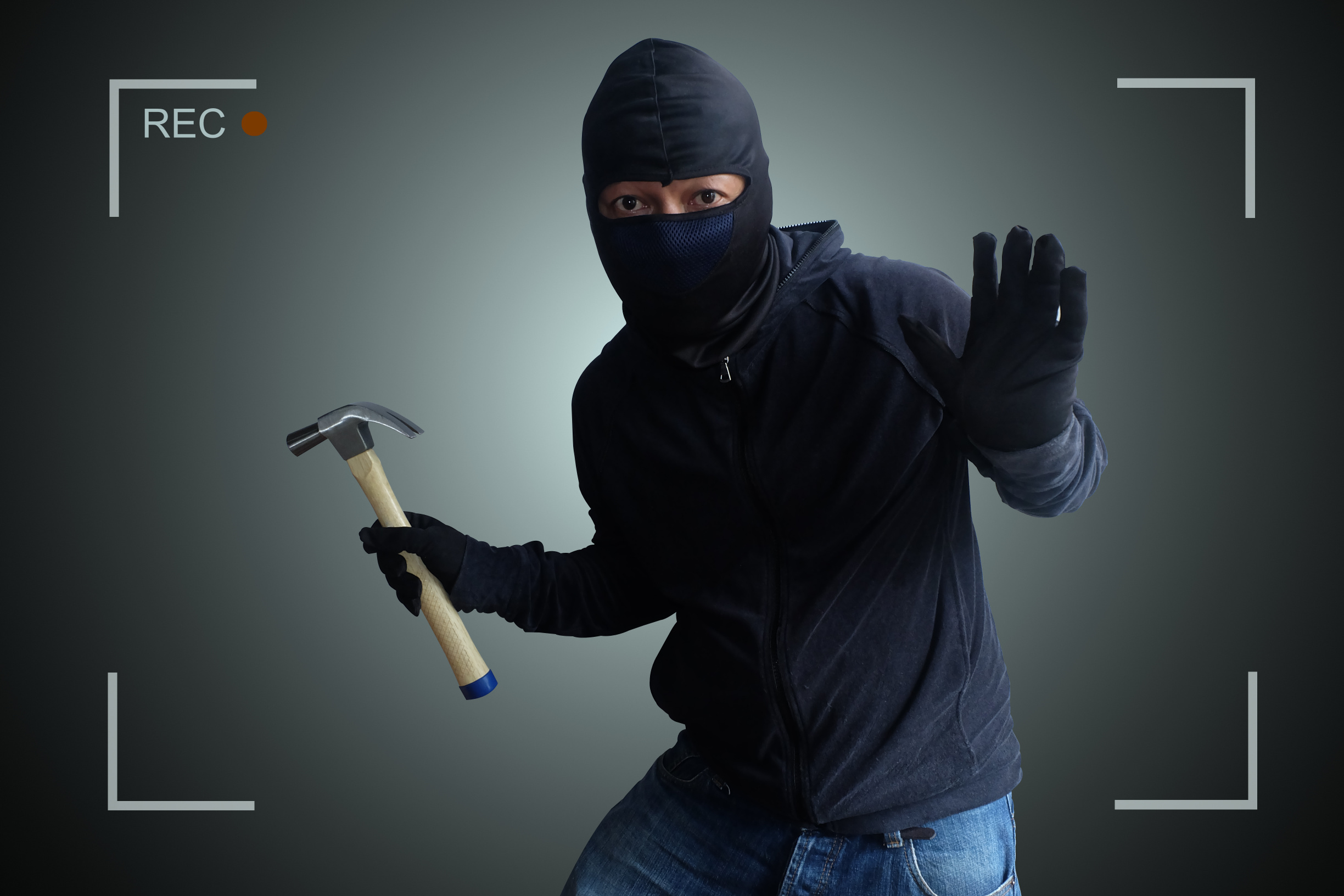 Bless Your Headlines, America: When the Bears Are the Least of Your Problems Image