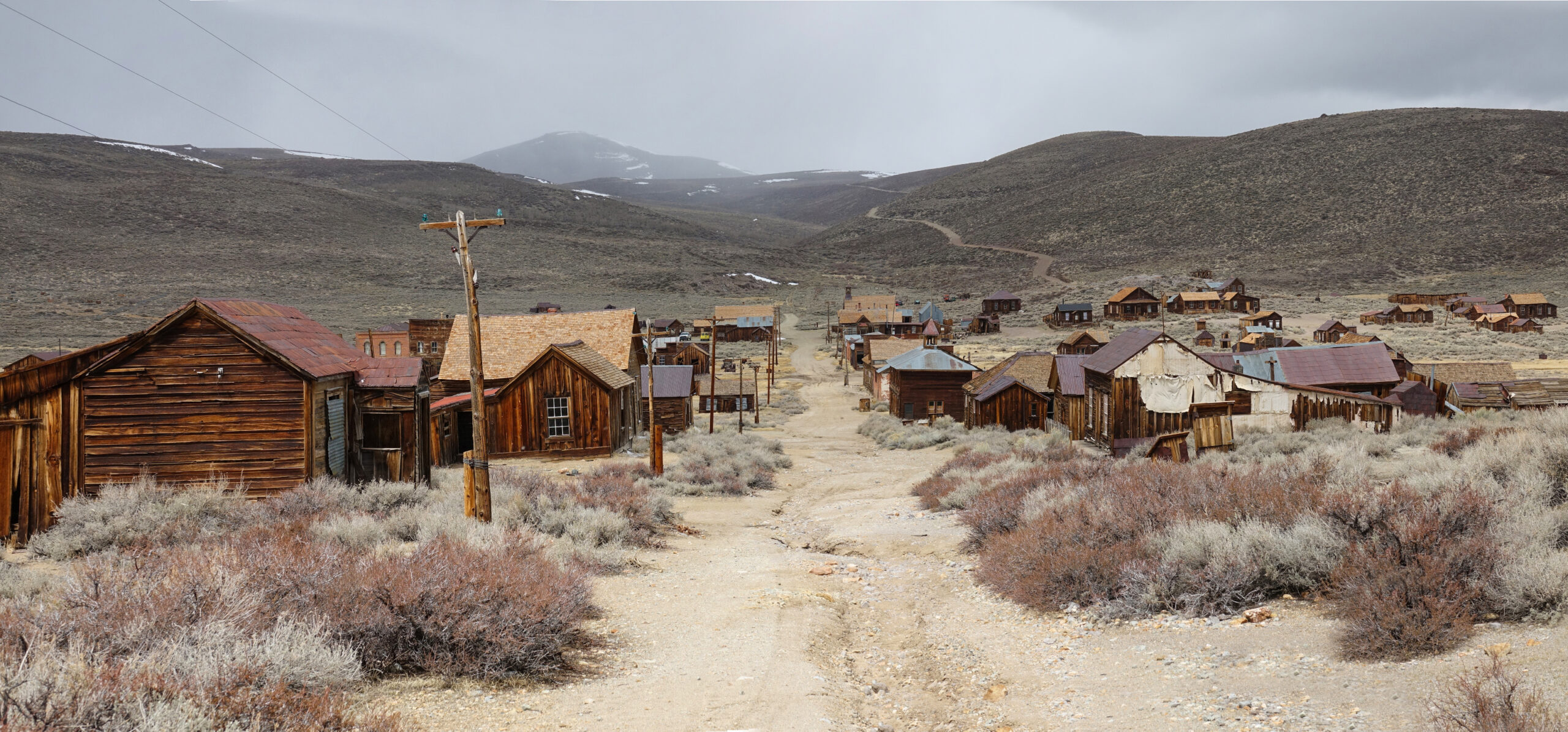 This Quiet Montana Writer Changed the Western Genre Forever Image