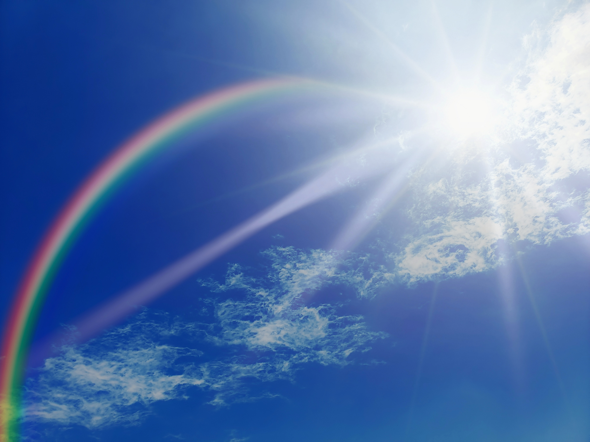 Gilbert the Golden Retriever Deserved to Lie in State—And So Do All the Dogs Who’ve Saved Us Image