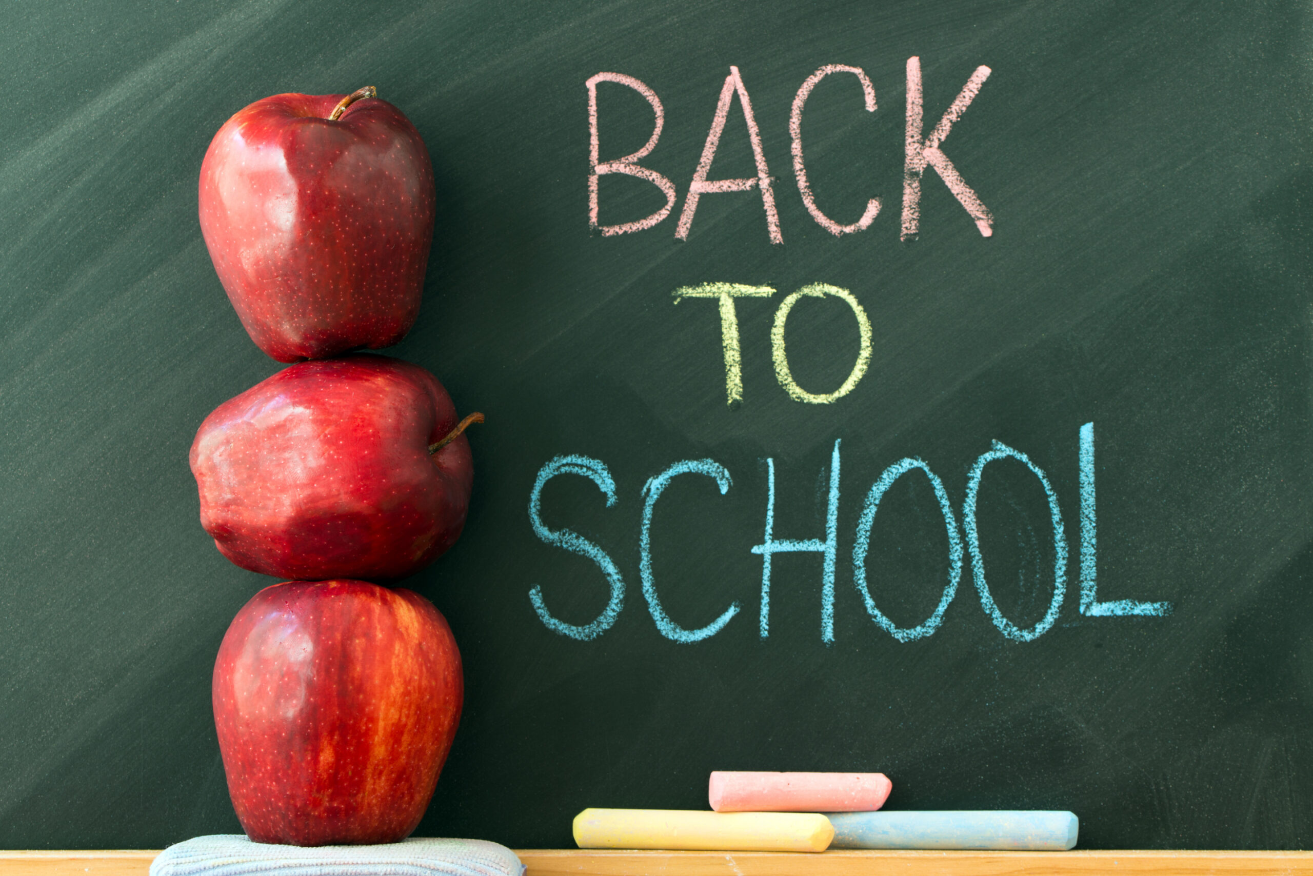 No Tax, Big Savings: Lawmakers Highlight Tennessee’s Back-to-School Tax Holiday Image
