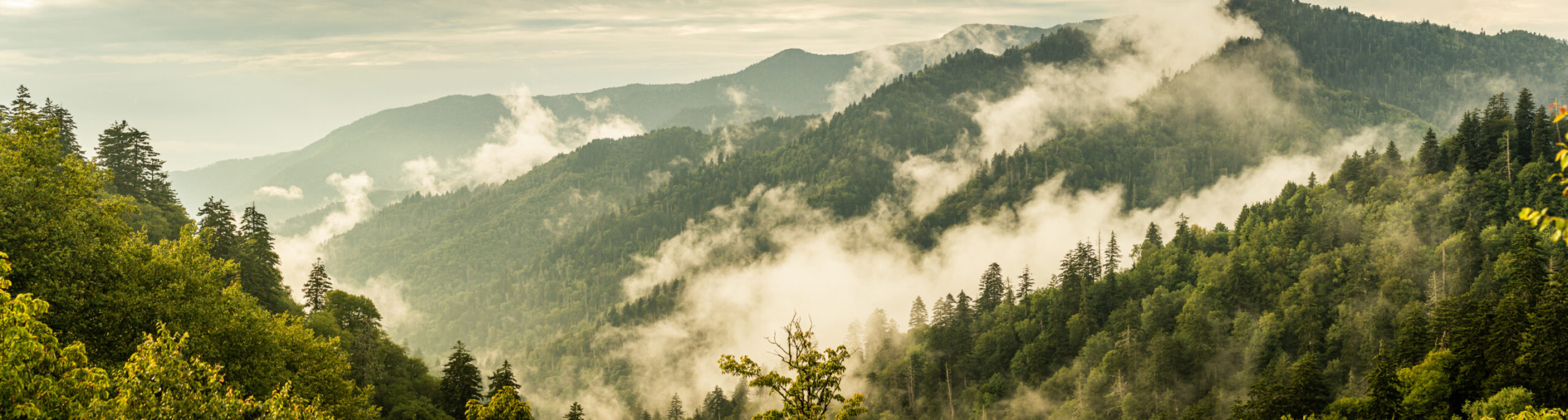 Rep. Jeremy Faison: Trump’s Park Plan Is a Win for Tennessee and the Smokies