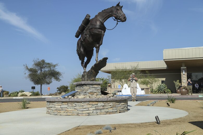 She Braved Bullets, Carried the Wounded, and Earned Her Stripes Image