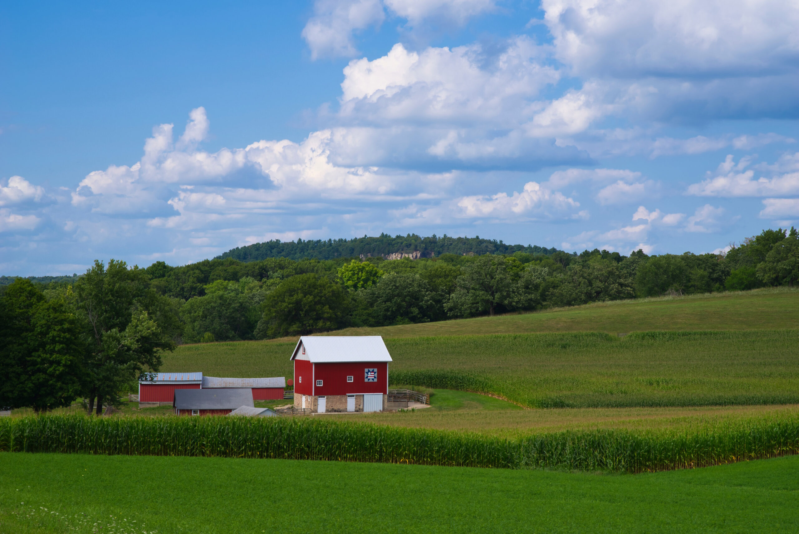 Indiana’s Farming Legacy Lives On: Carlin and Creighton Families Recognized Image