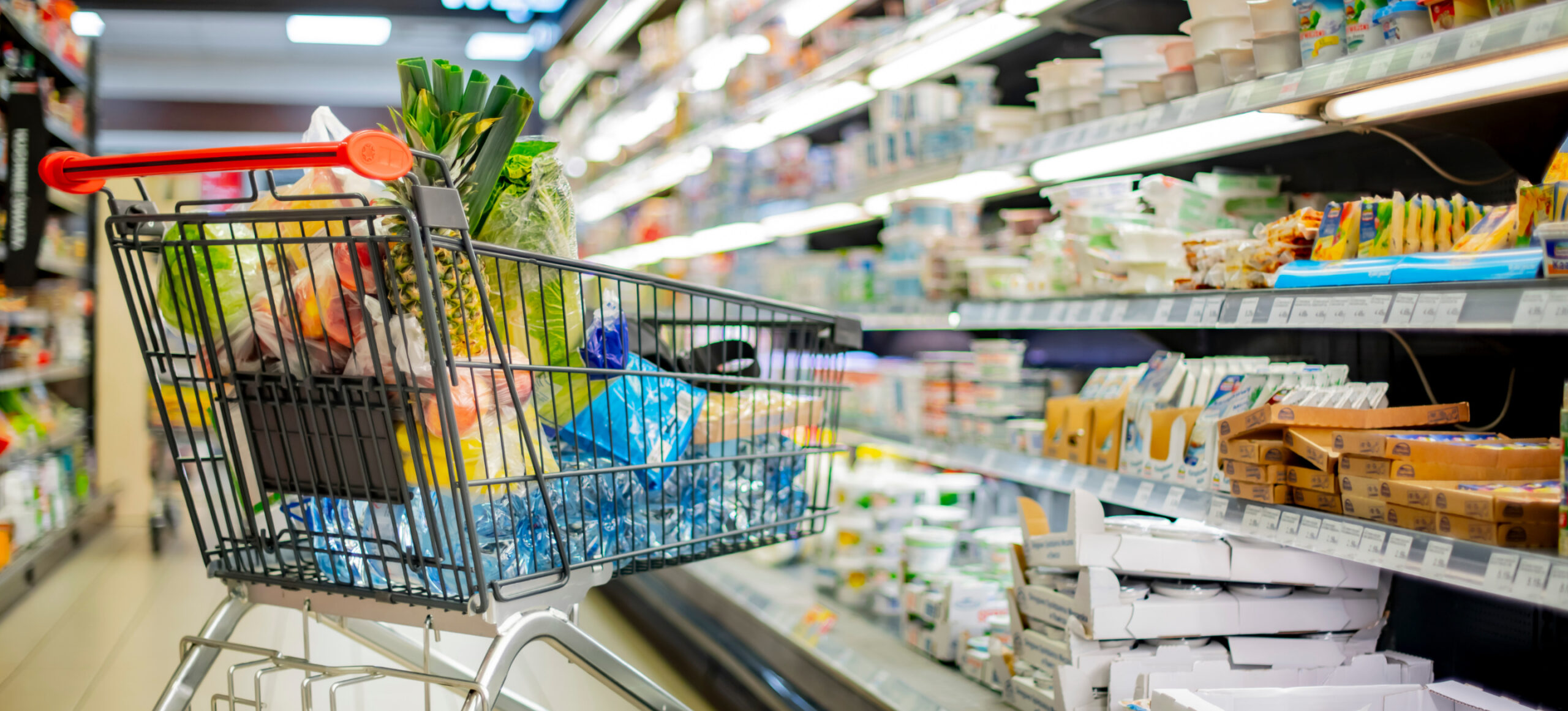 Sticker Shock Nation: Poll Finds Grocery Prices Stressing Out Most Americans