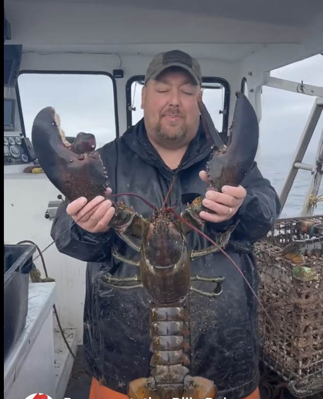 Maine House Minority Leader (and Lobsterman) Lands a Lobster as Big as a Child Image