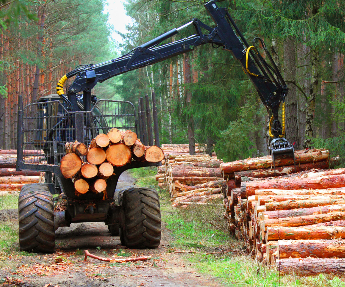 New Hayward Facility Will Turn Wisconsin Wood Into Clean Aviation Fuel