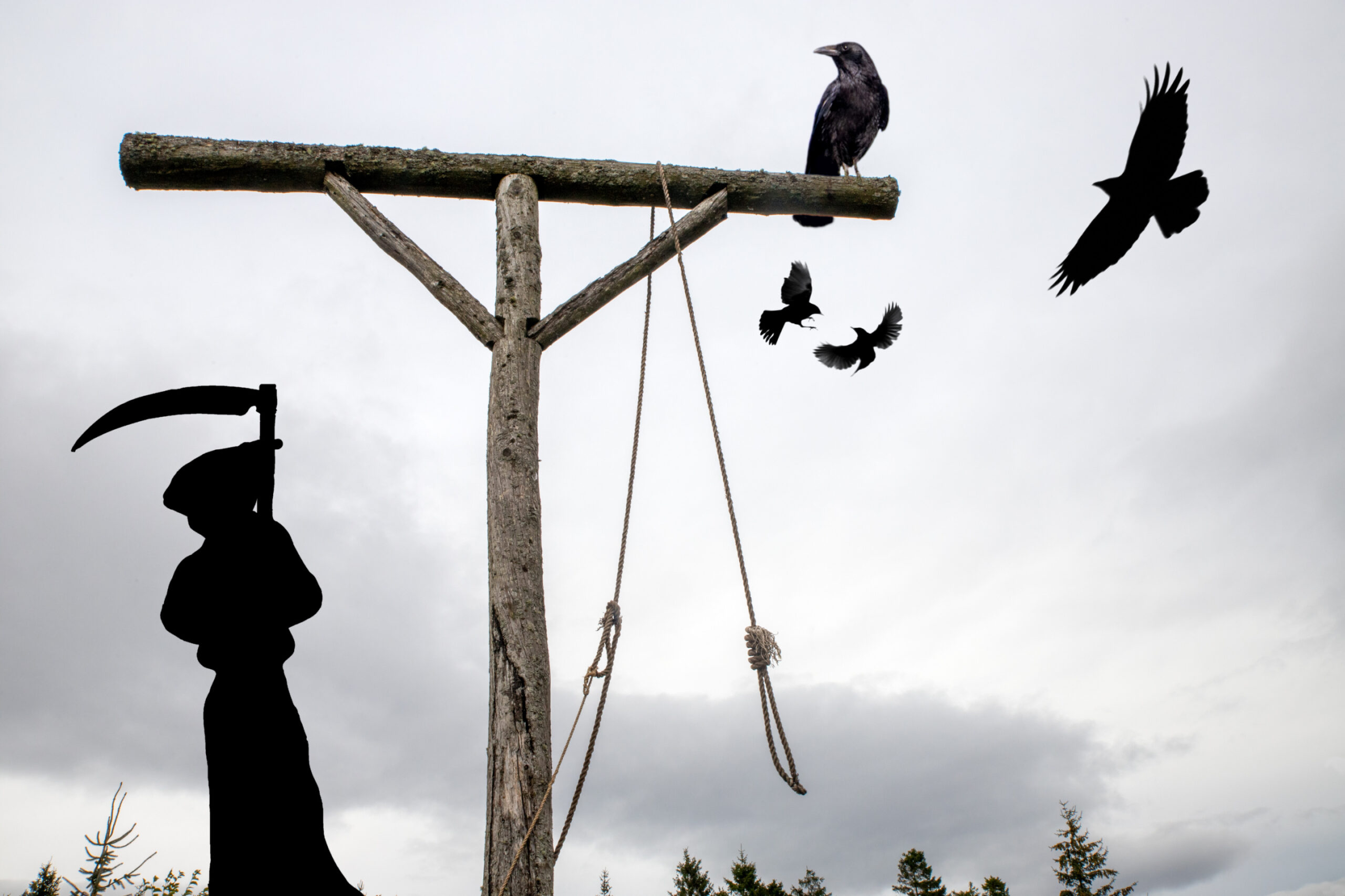 After 30 Years, Senator Demands Justice in Powell County Murders Image