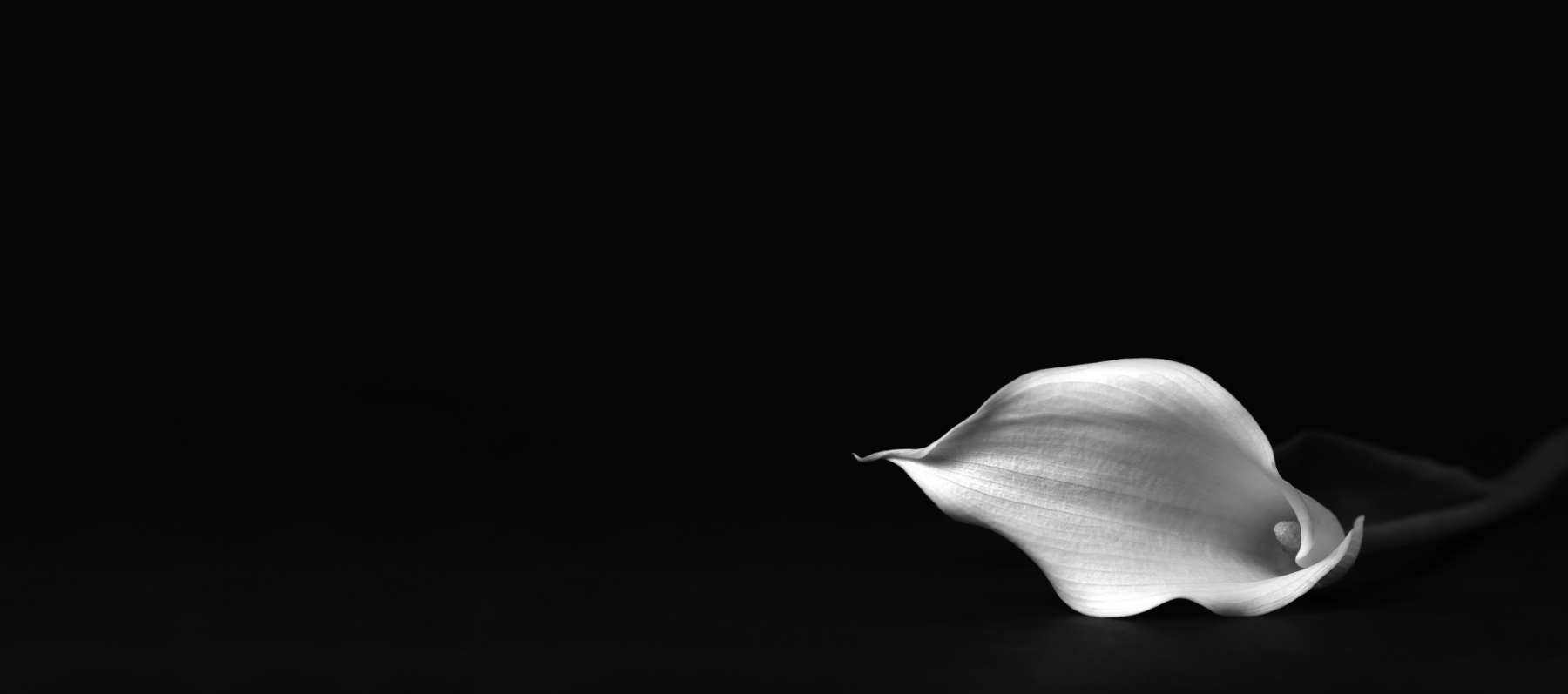 Mandi Ballinger: A Voice for Georgia’s Most Vulnerable