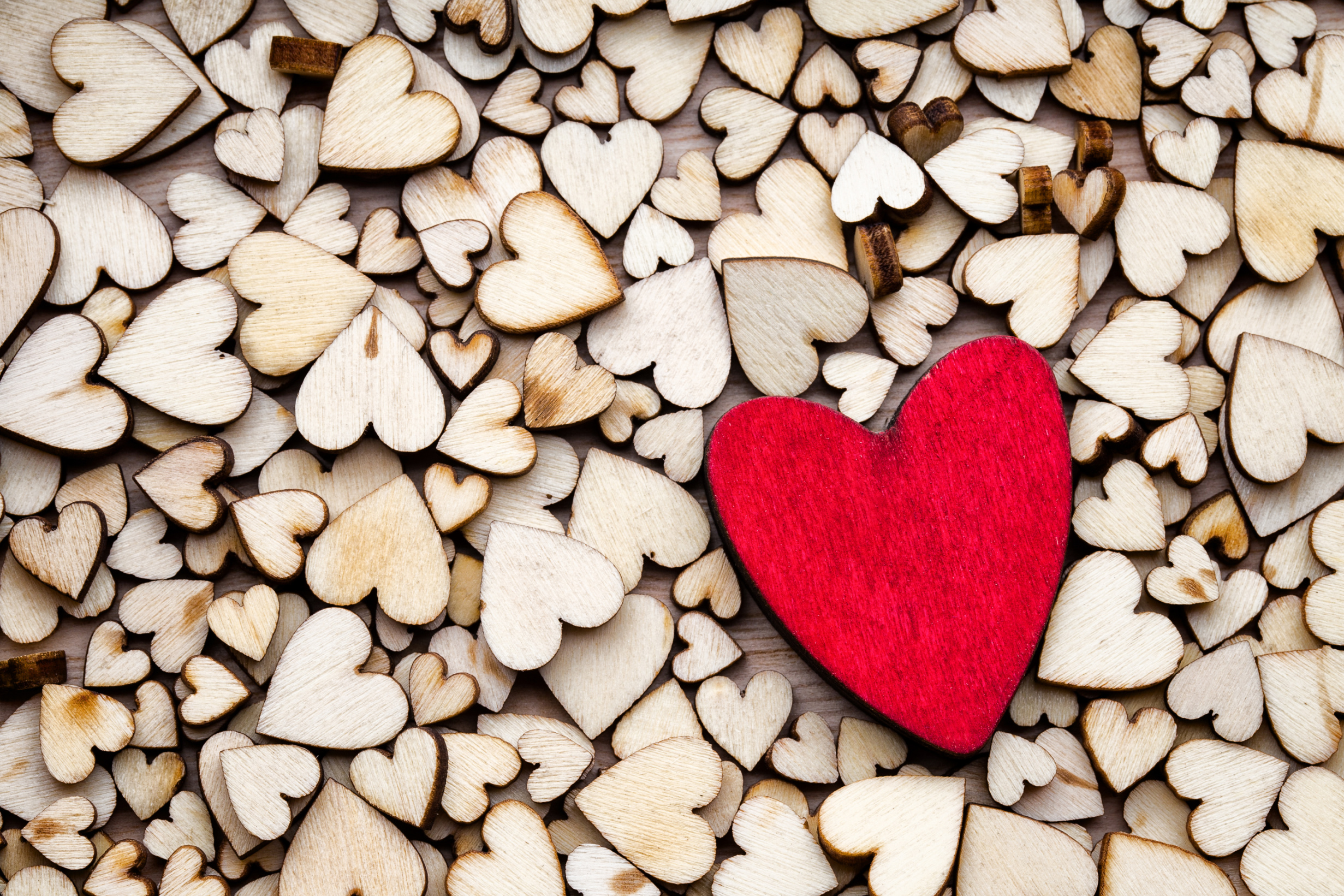 The Power of Thankfulness in Our Closest Relationships Image