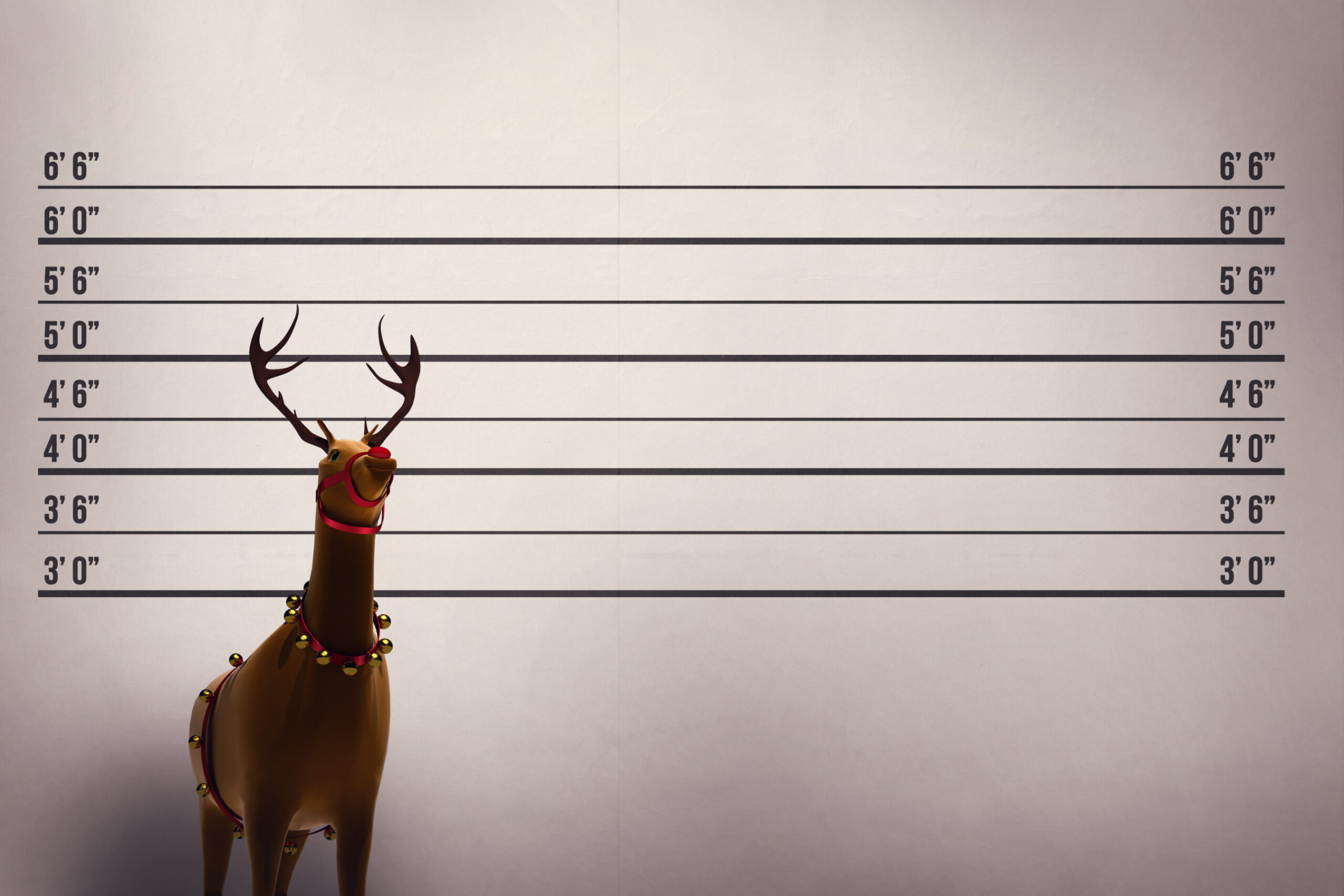 Holiday Crime Prevention: Tips You Need Image