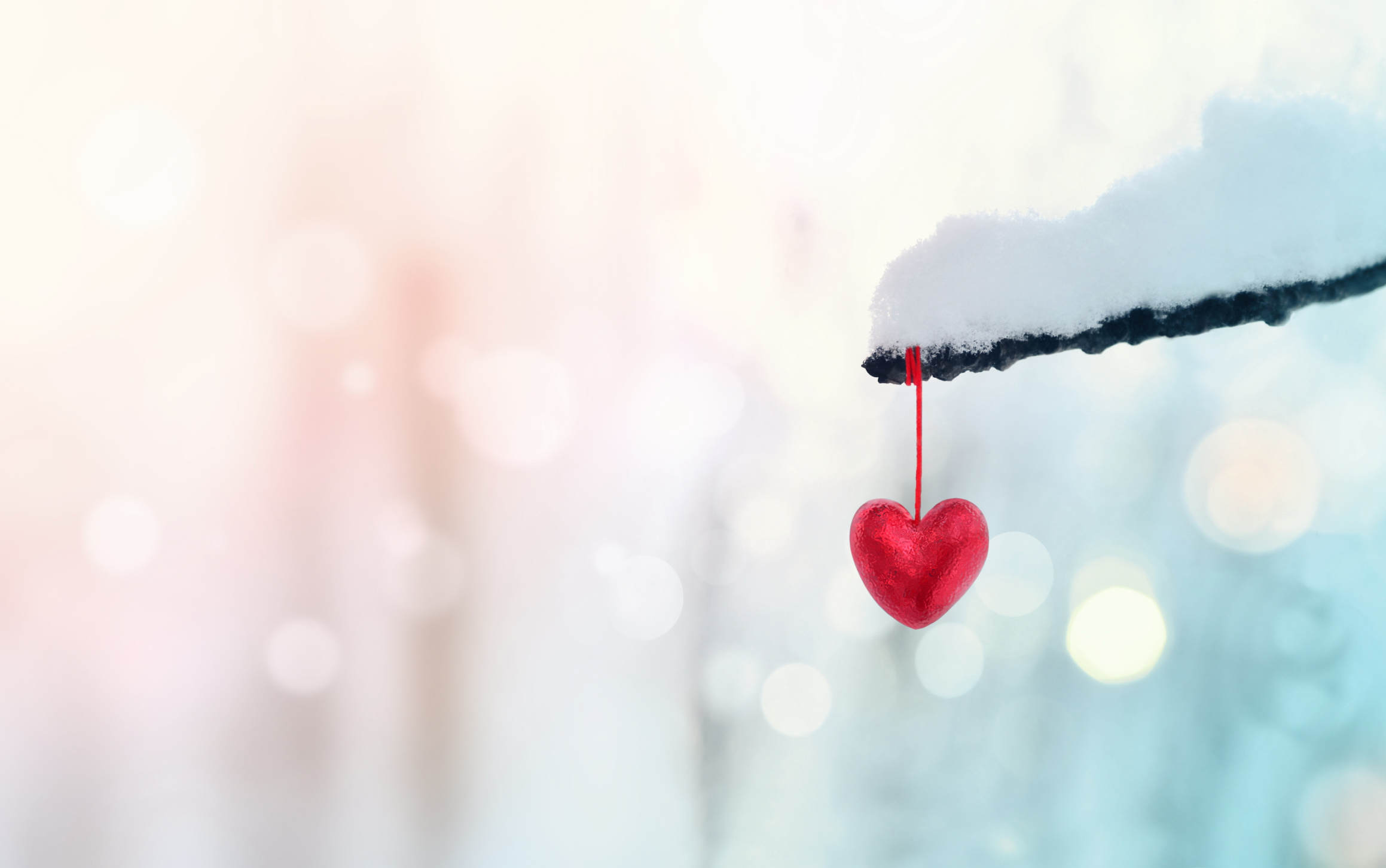 Experts Warn: Heart Attacks Rise During the Festive Season Image