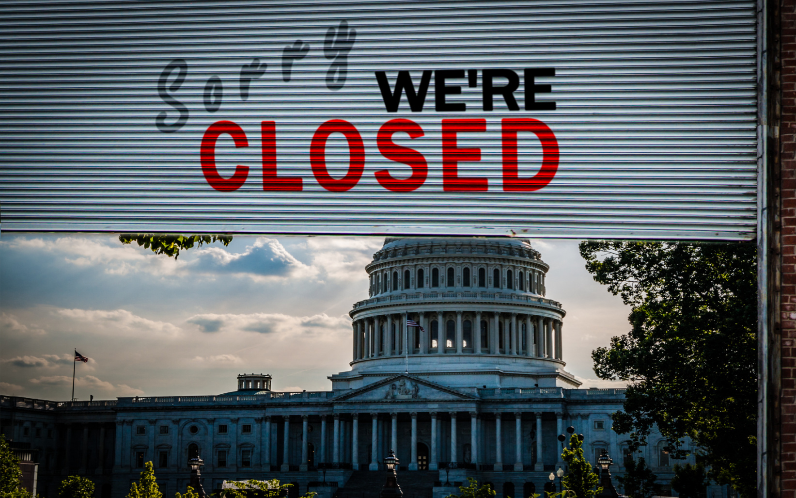 Polls Show Shutdown Backfired Image