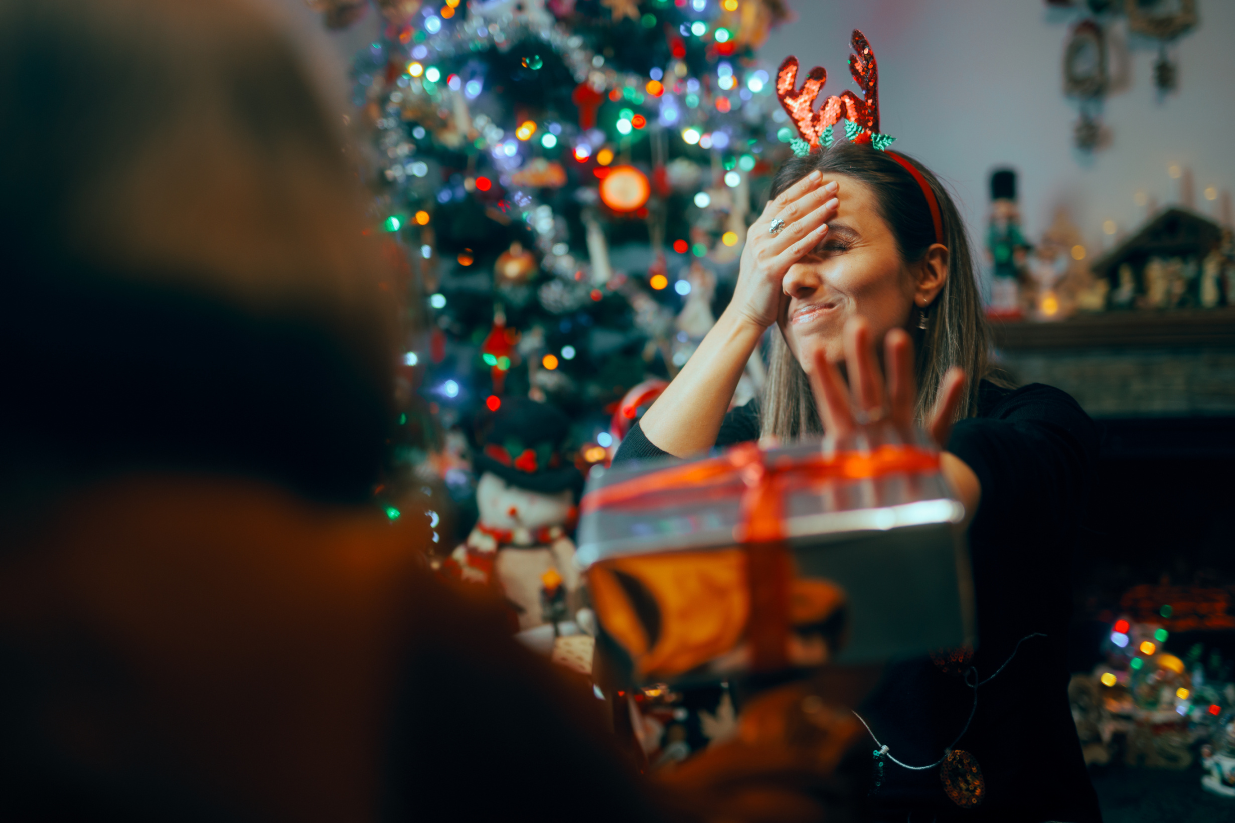Your Holiday Houseguest Survival Guide Image