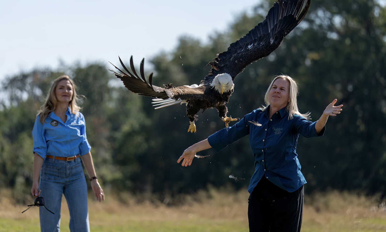 Canady Joins Audubon for Eagle No. 800 Image