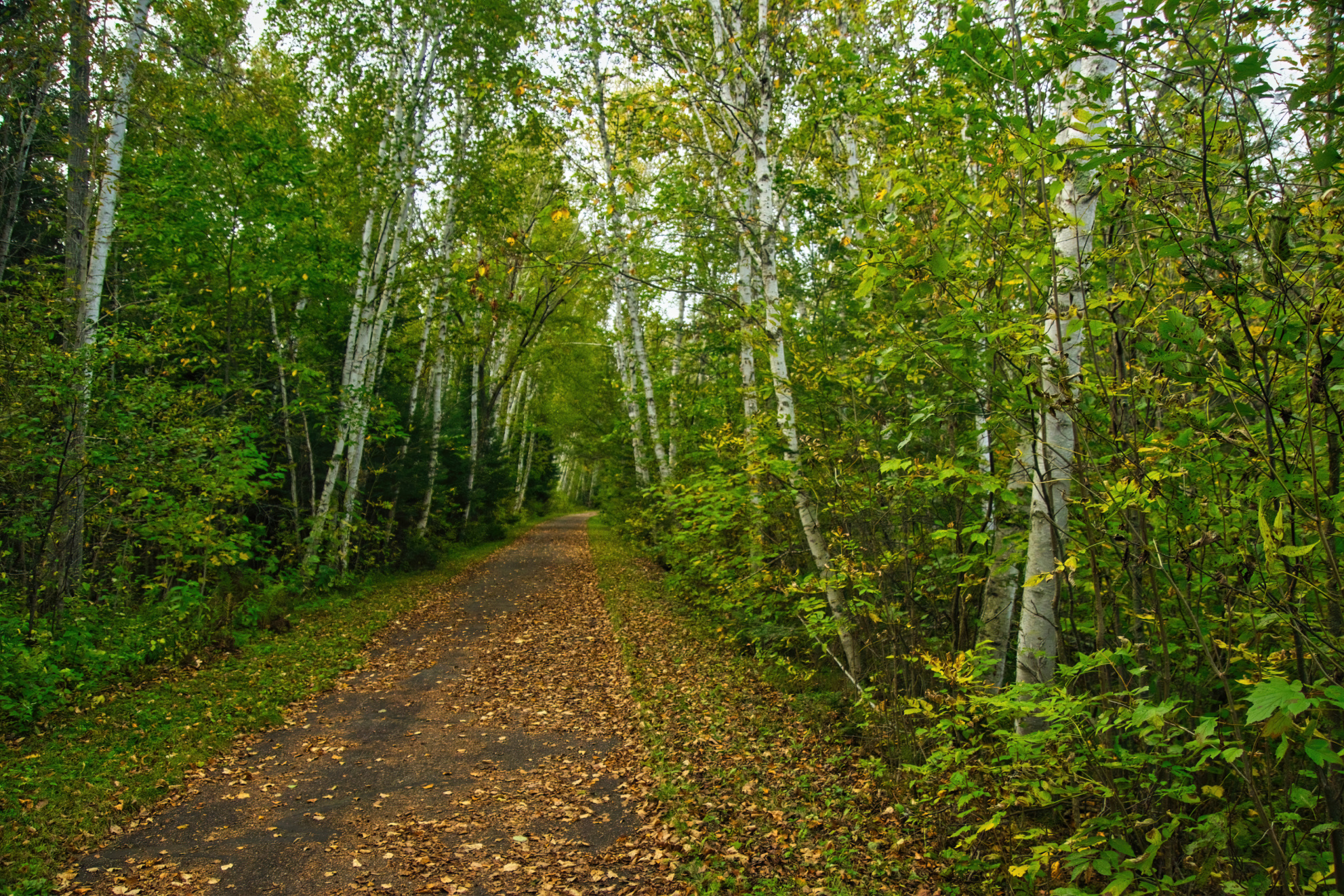 Minnesota Focus: Clean Water and Trail Expansion Image