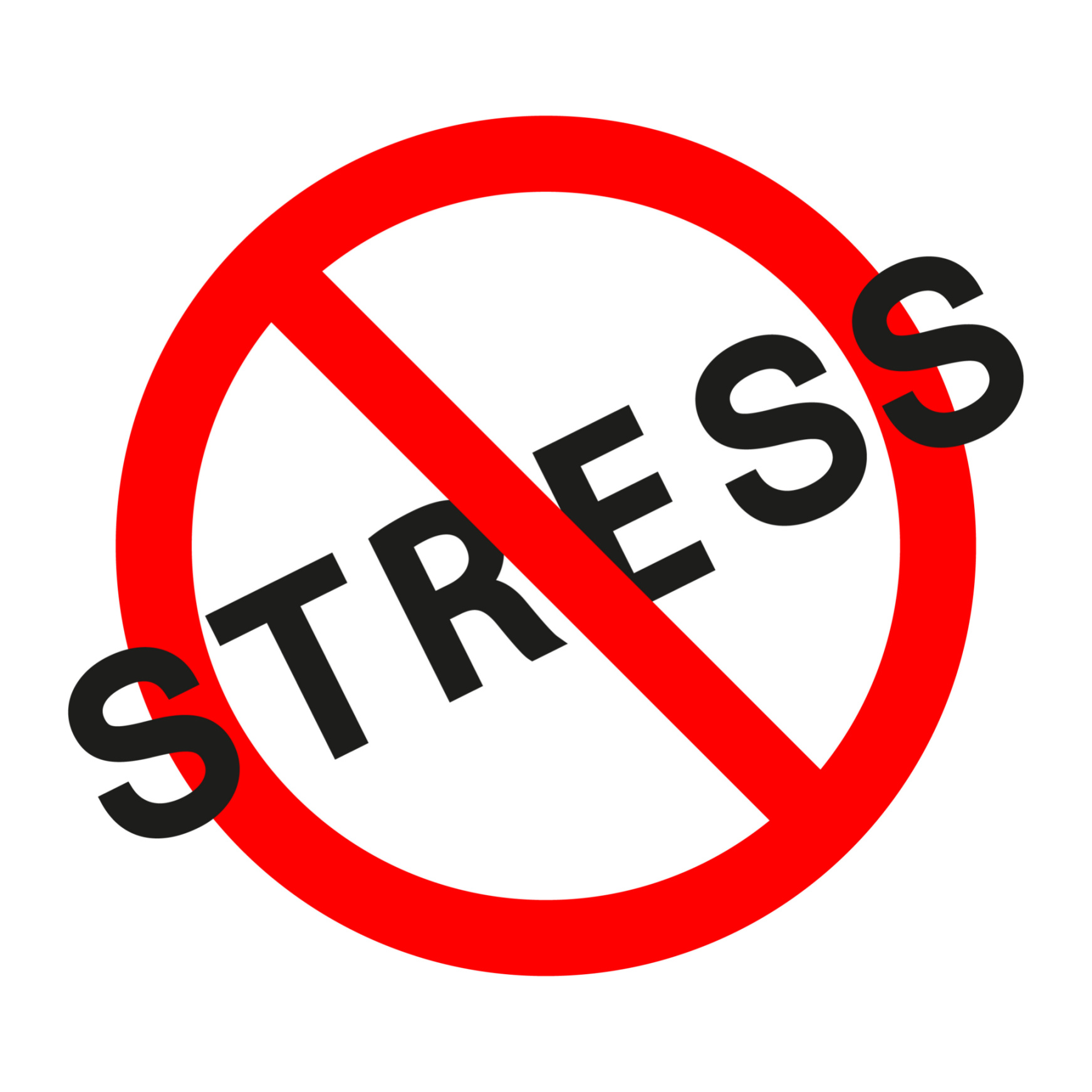 Your Stress-Less December Starts Here Image