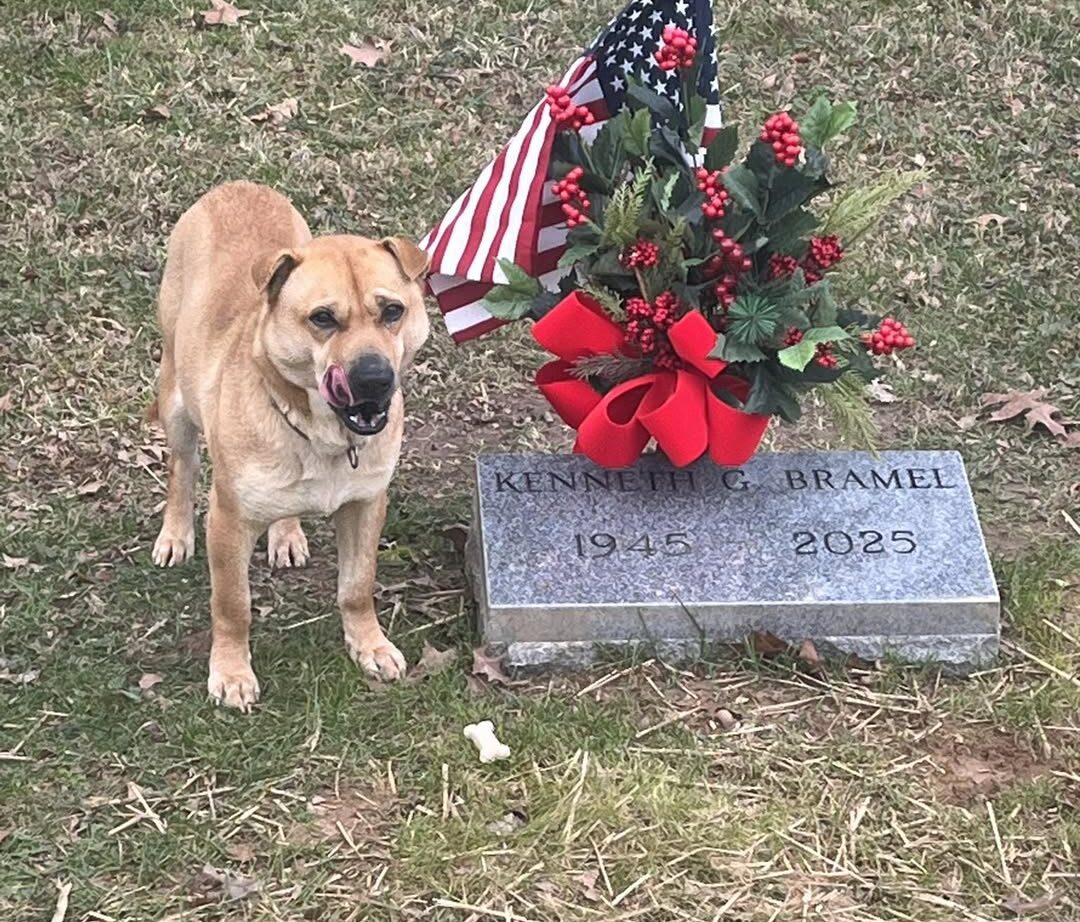 A Grave, a Dog, and a Loyalty Humans Forgot How to Practice Image