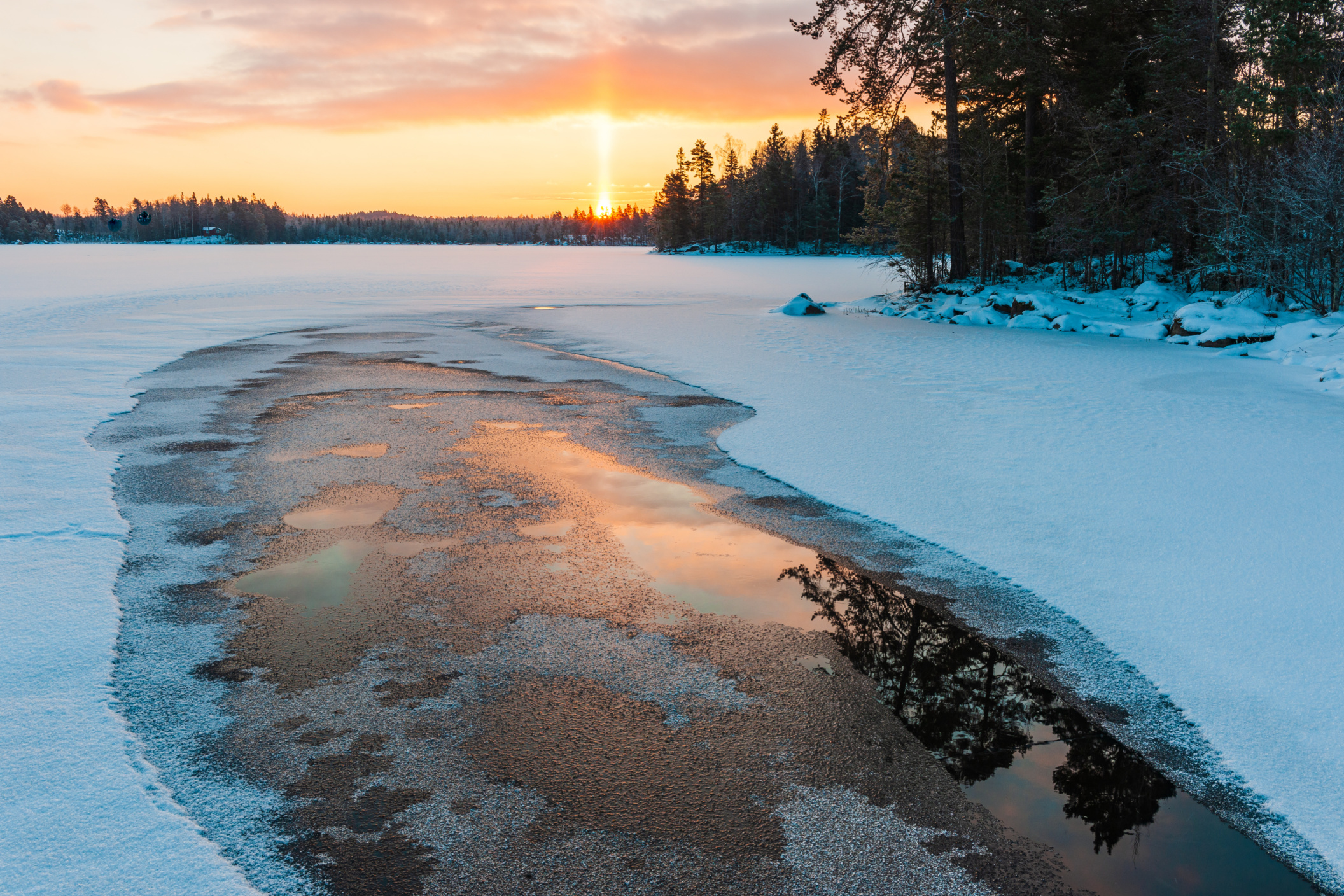 Firefighters Brave Thin Ice to Rescue Dog from Frozen Pond