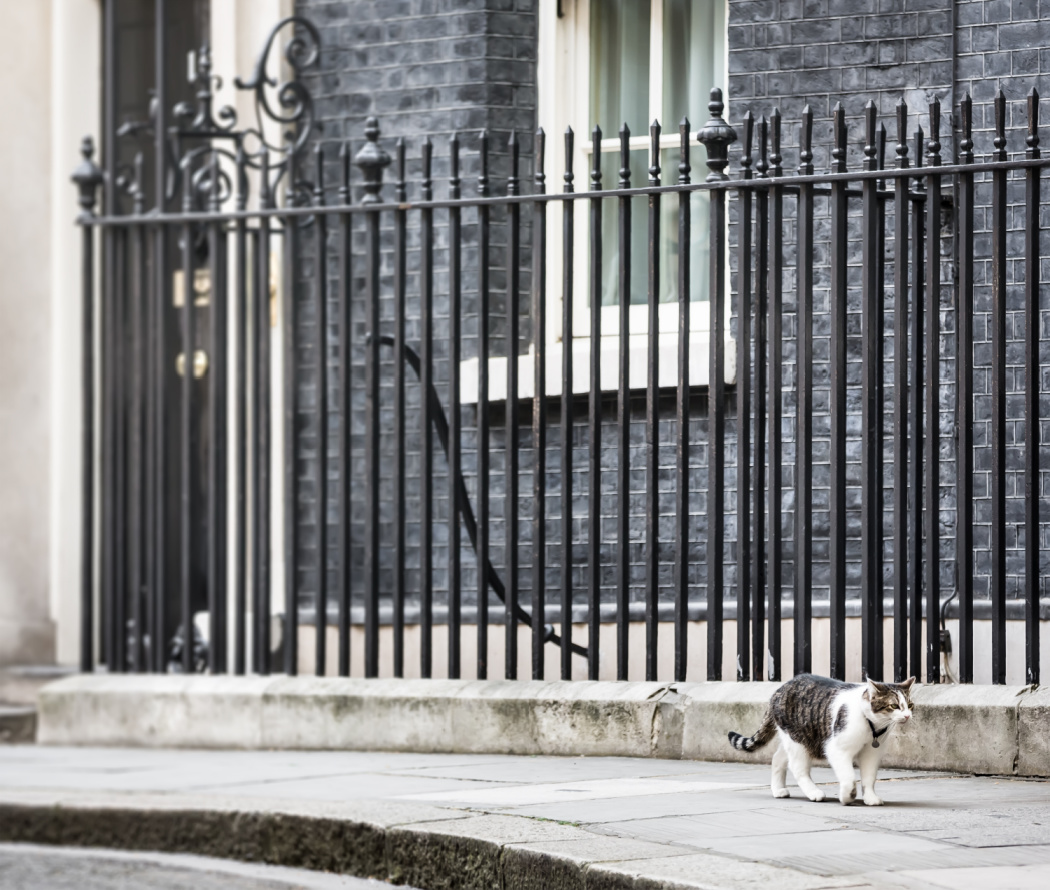 Larry the Cat: The Only Stable Thing in U.K. Politics