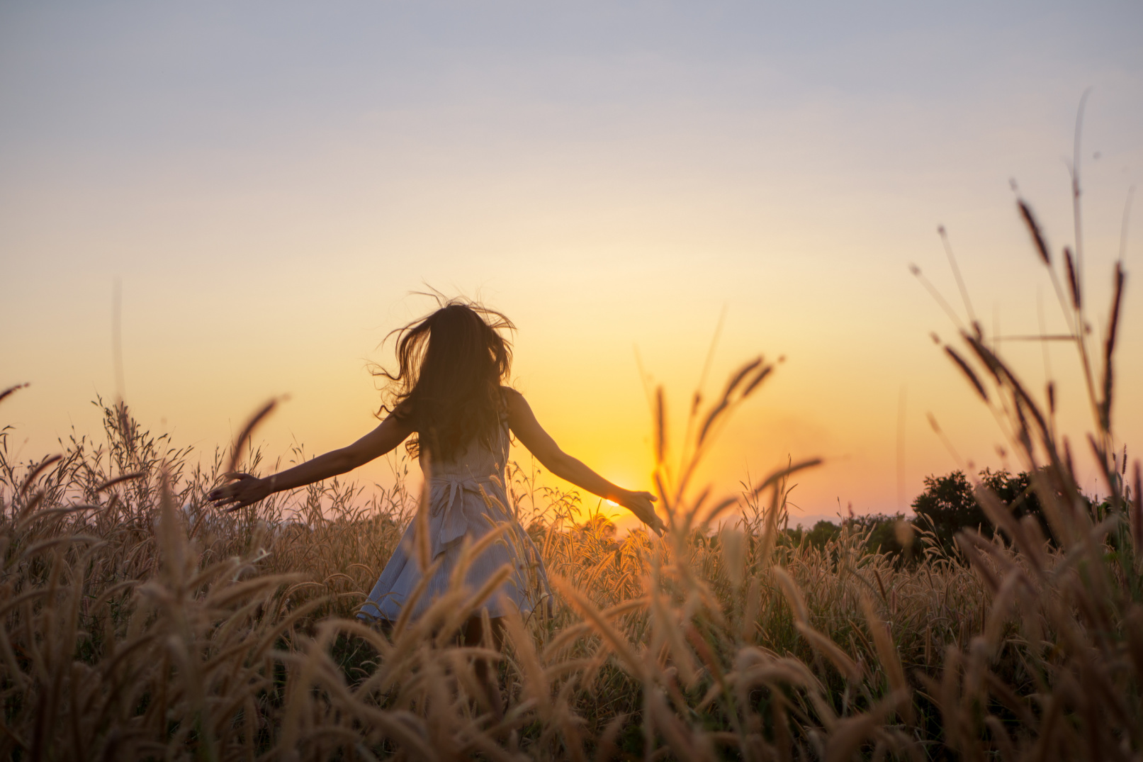 Science Backs Aristotle: Virtue Linked to Happiness