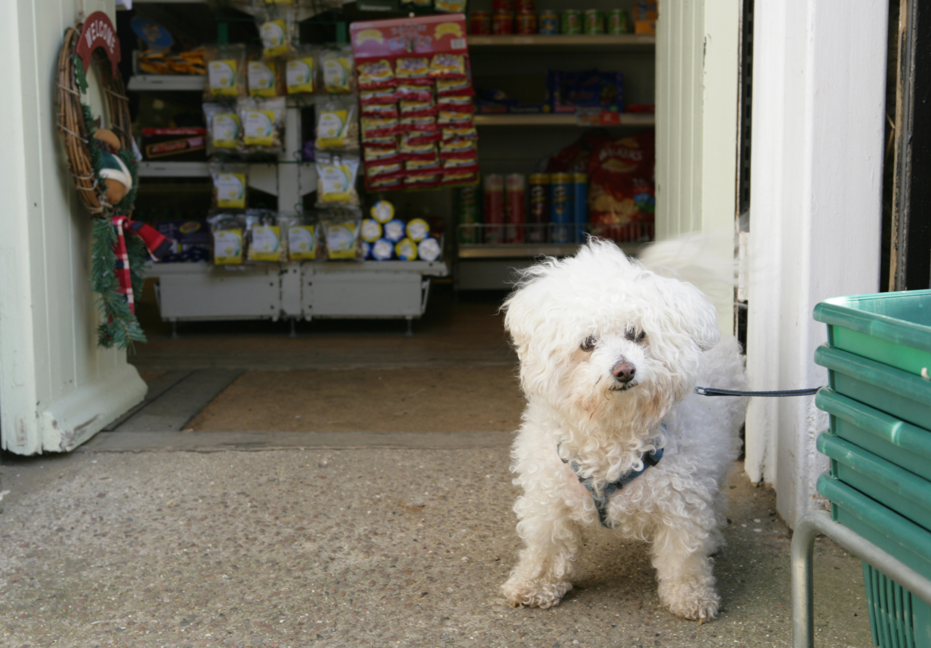 Kindness Reunites a Chicago Family