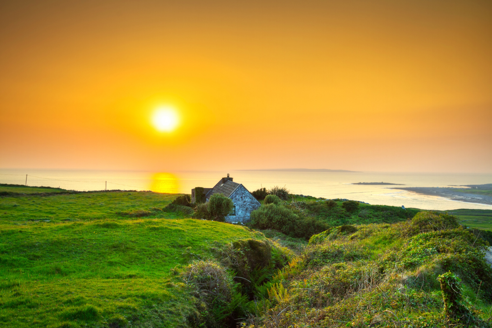 You Might Be Speaking Irish Without Knowing It Image