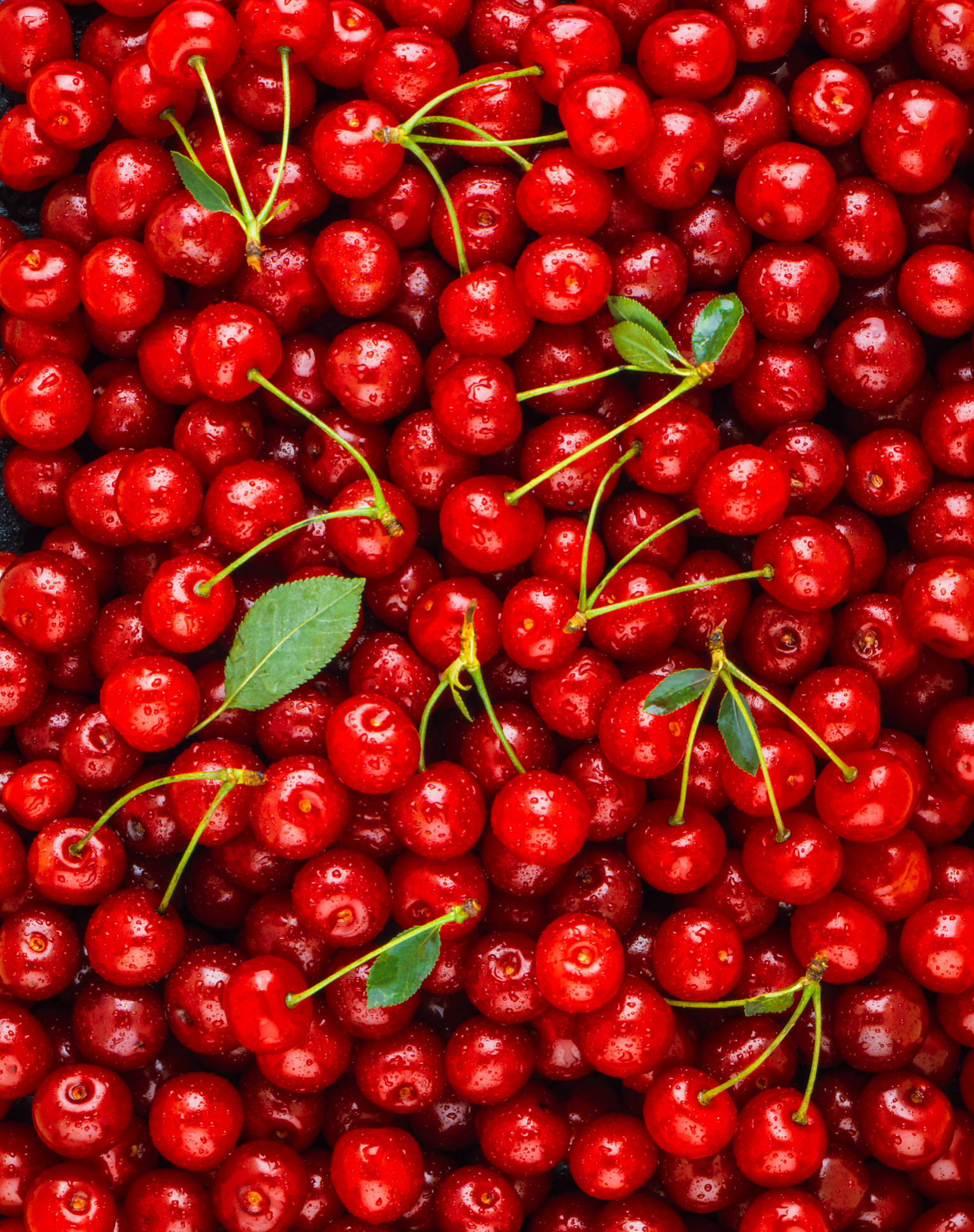 Research Highlights Cancer-Fighting Potential of Cherries Image