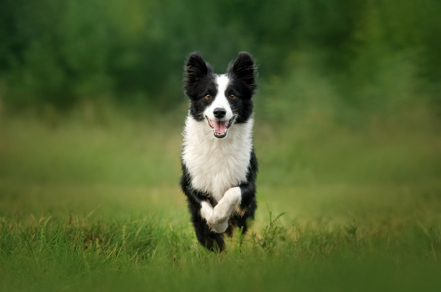 Why Boundaries ARE Love Image