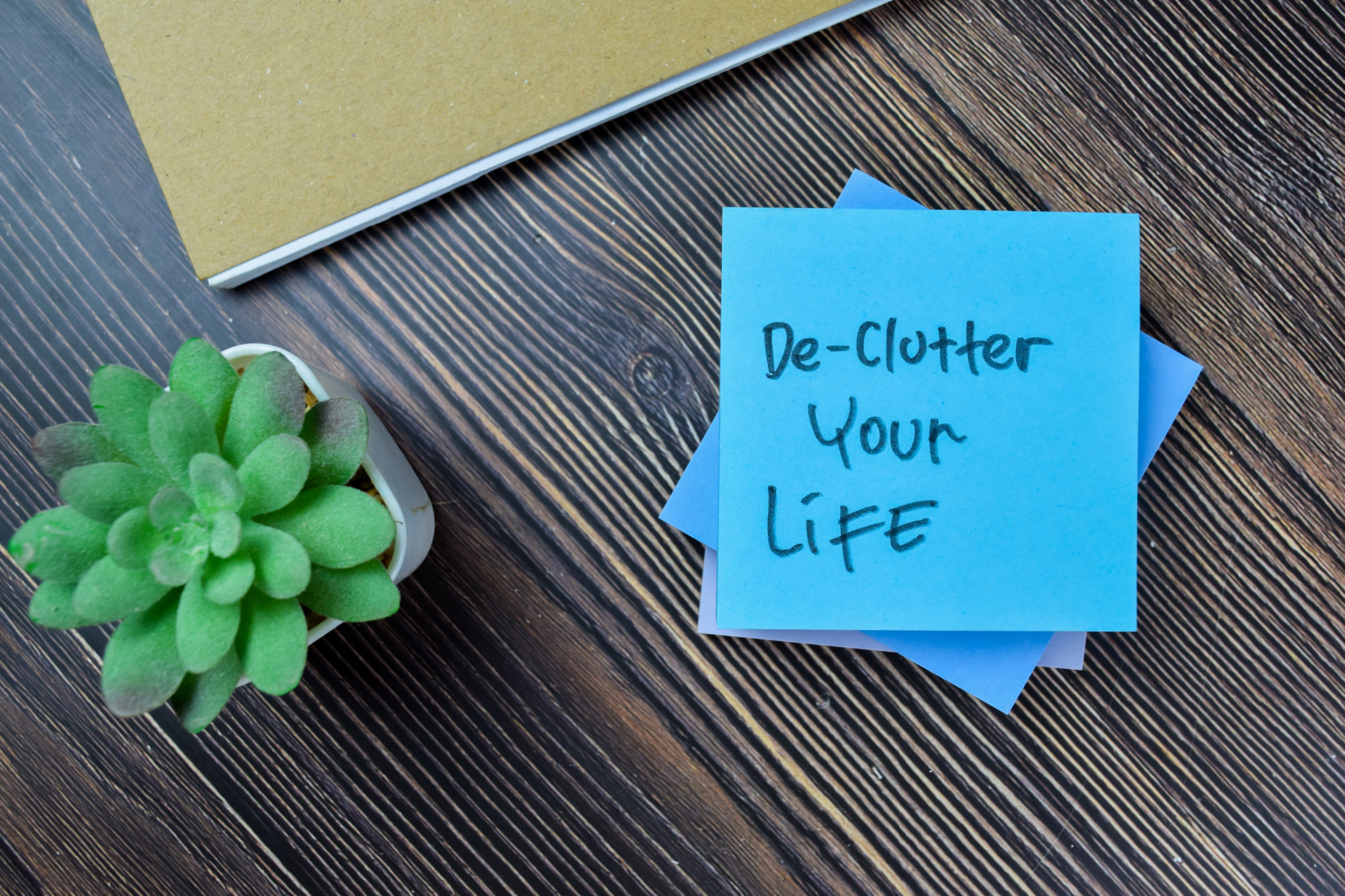 A Simple Way to Reduce Stress This Week Image