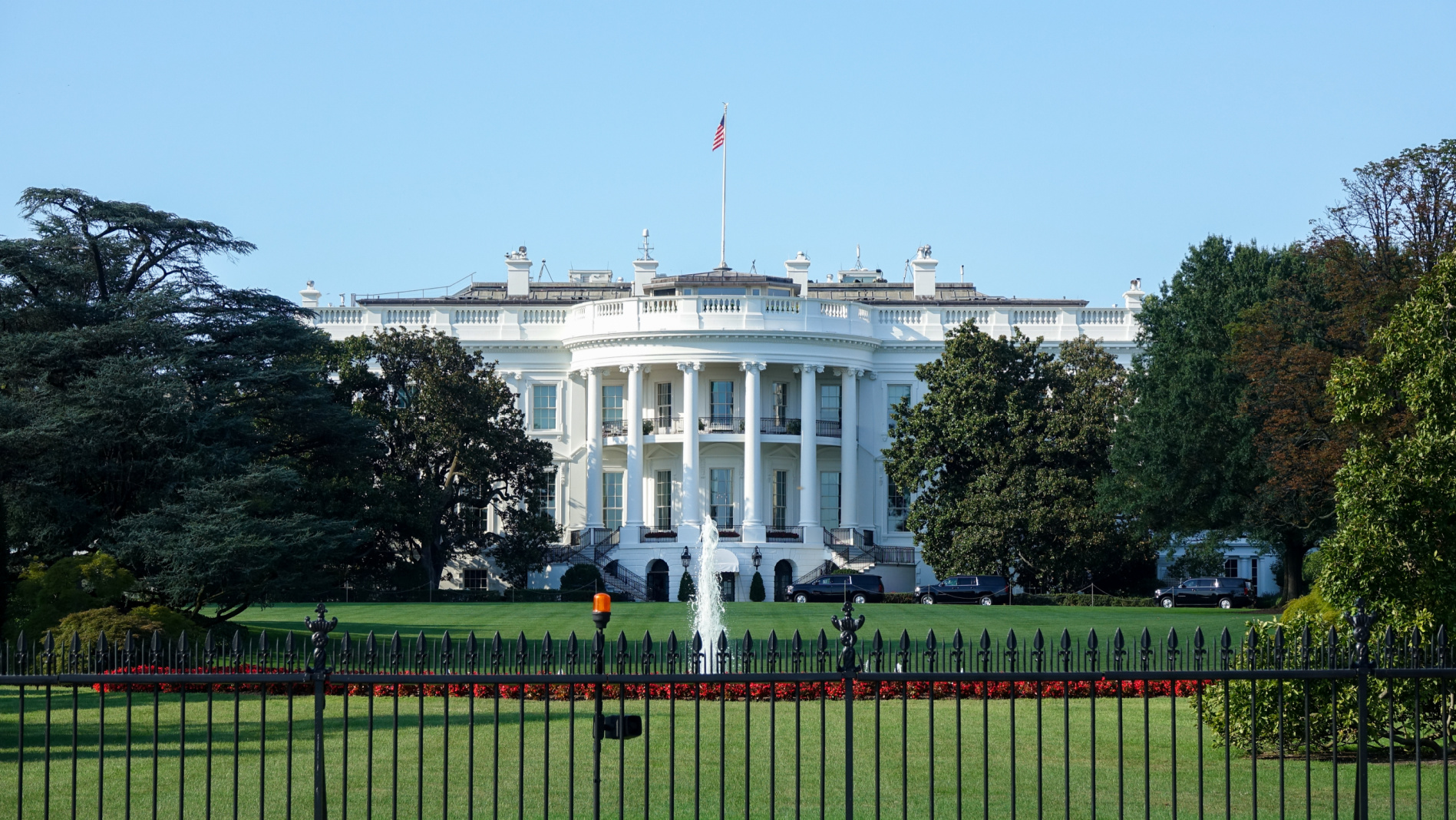 A Lighthearted Moment on the South Lawn Image