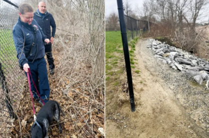Firefighter Saves Dog from Freezing Marsh Image