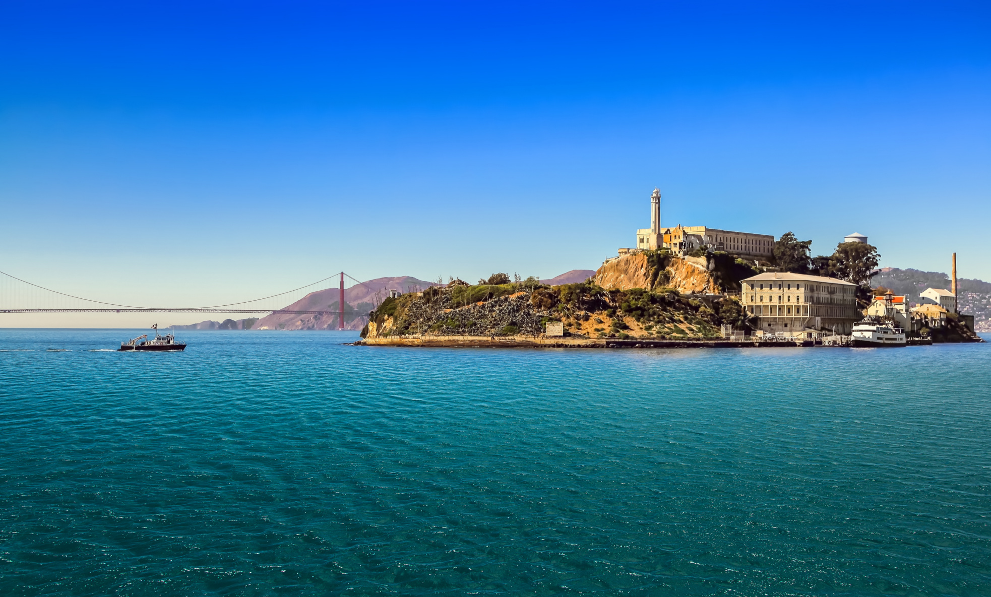 Alcatraz Has a New Inmate… and He Swam There Image
