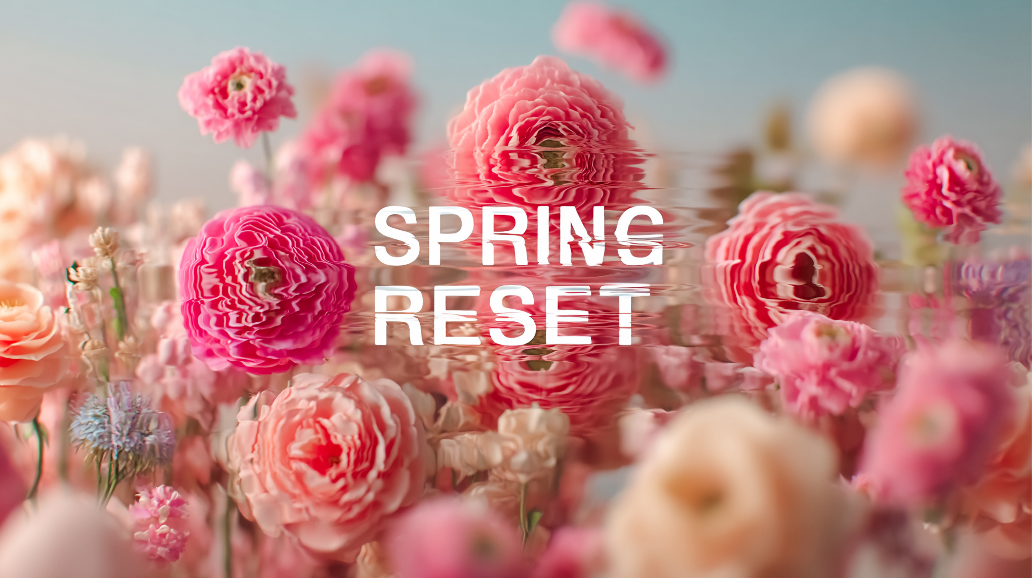 May Reset: Where Is Your Energy Really Going? Image