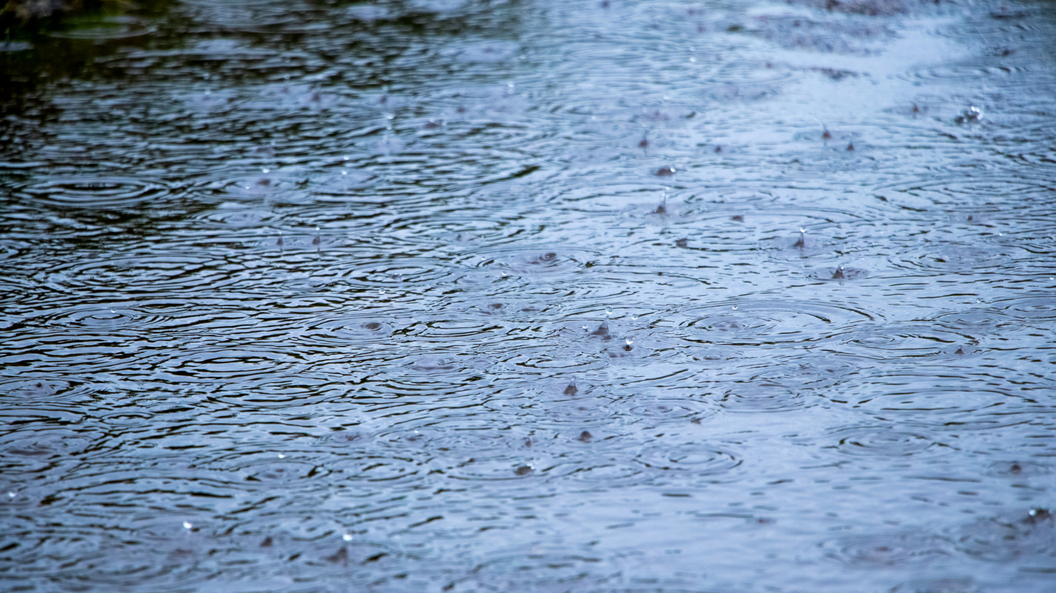 Did You Know? Why We Love the Smell of Rain Image