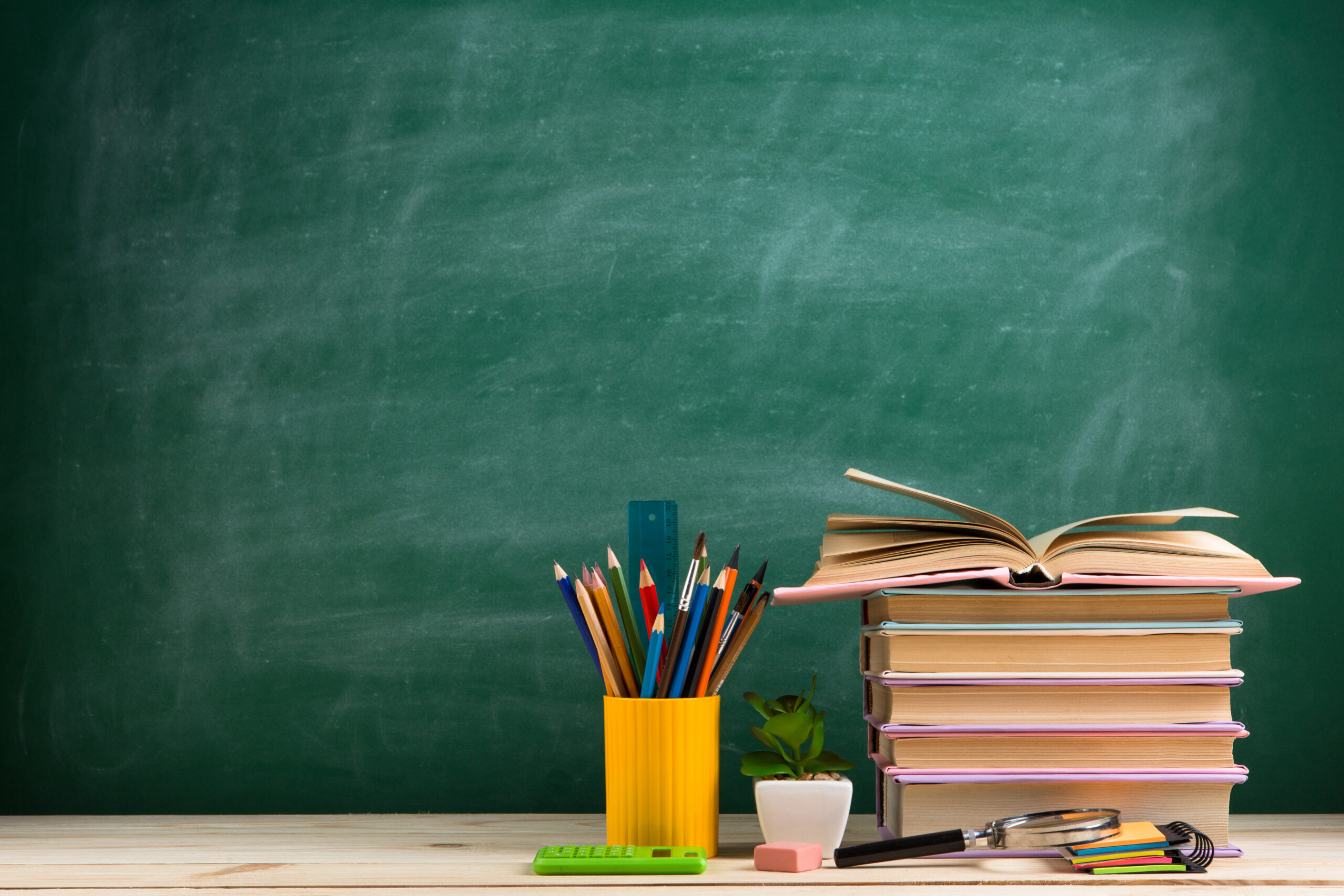 Former Teacher Fired Over Transgender Policies Celebrates Trump’s Executive Order Targeting Gender Ideology in Schools